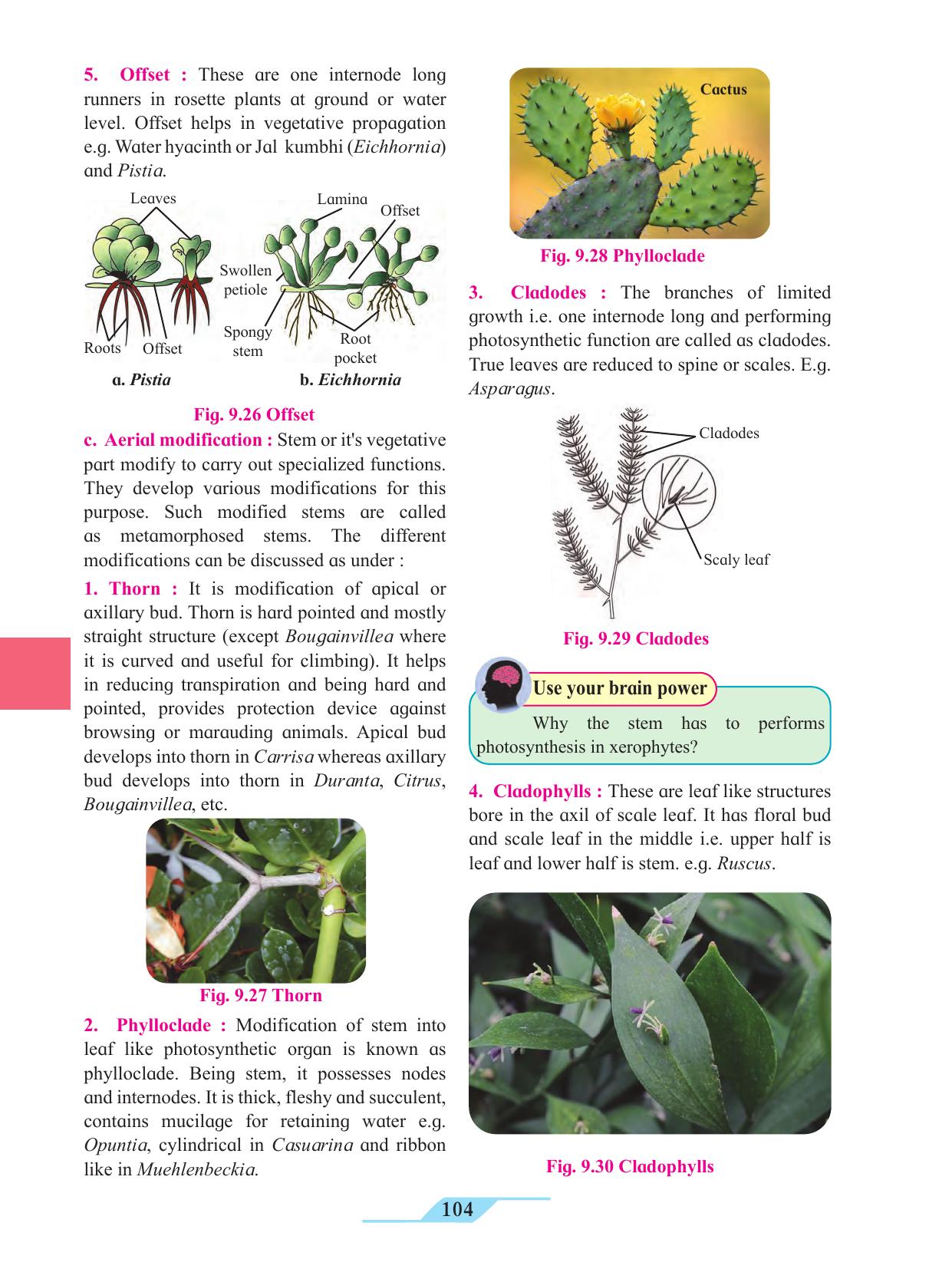 Maharashtra Board Class 11 Biology Textbook - Page 114