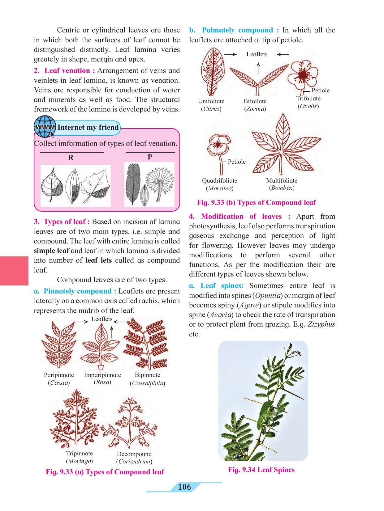 Maharashtra Board Class 11 Biology Textbook - Page 116