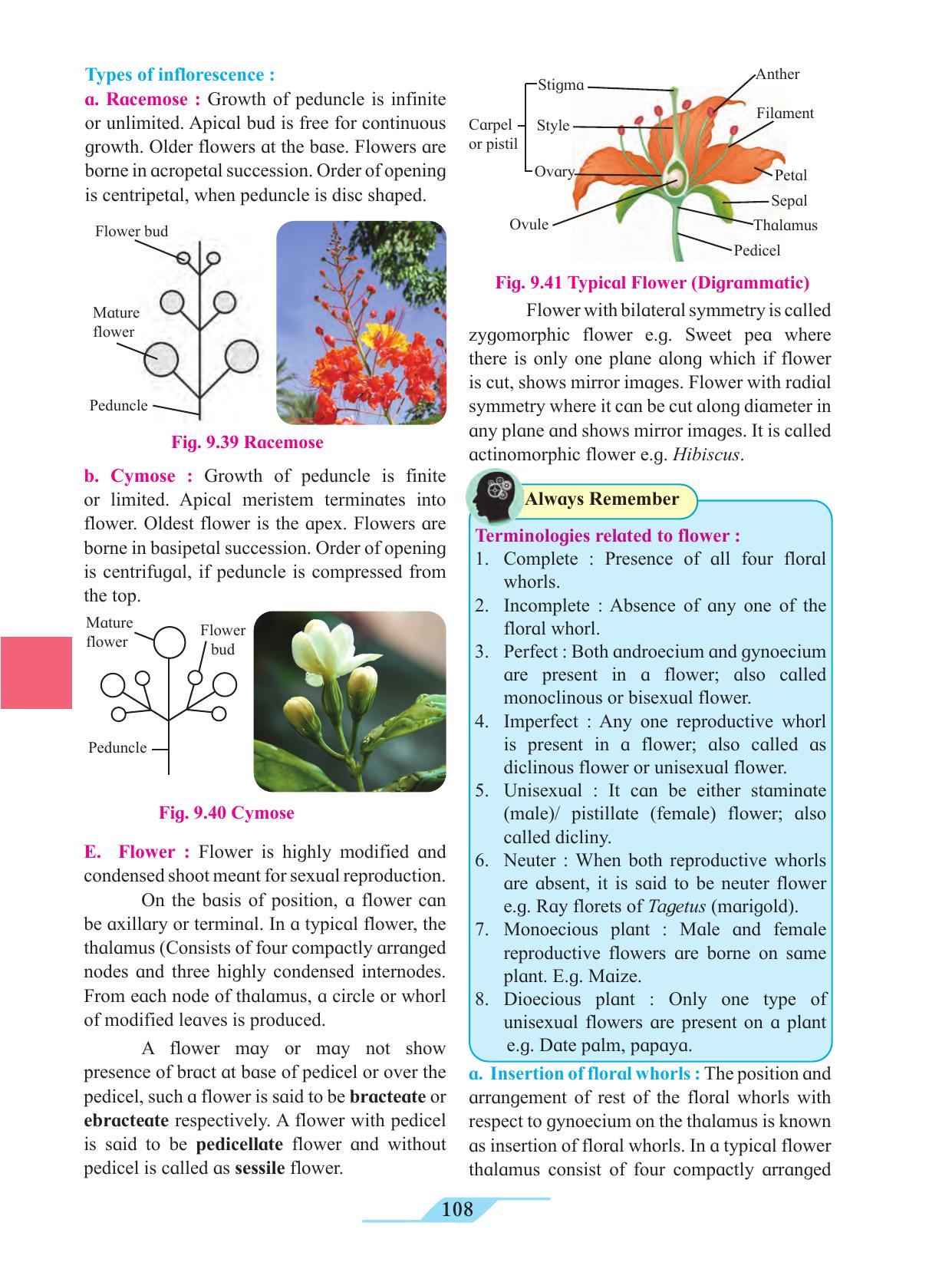 Maharashtra Board Class 11 Biology Textbook - Page 118