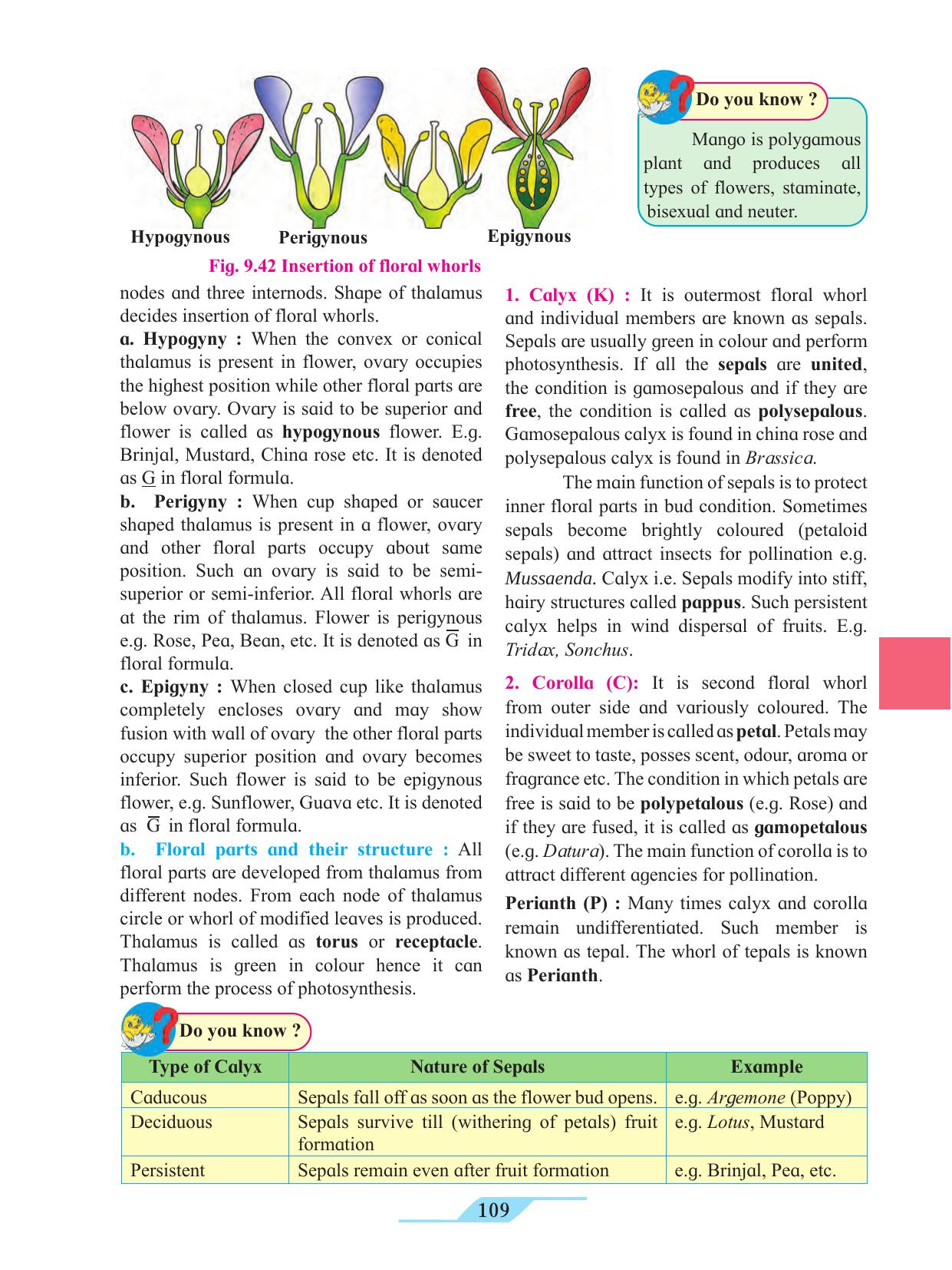 Maharashtra Board Class 11 Biology Textbook - Page 119