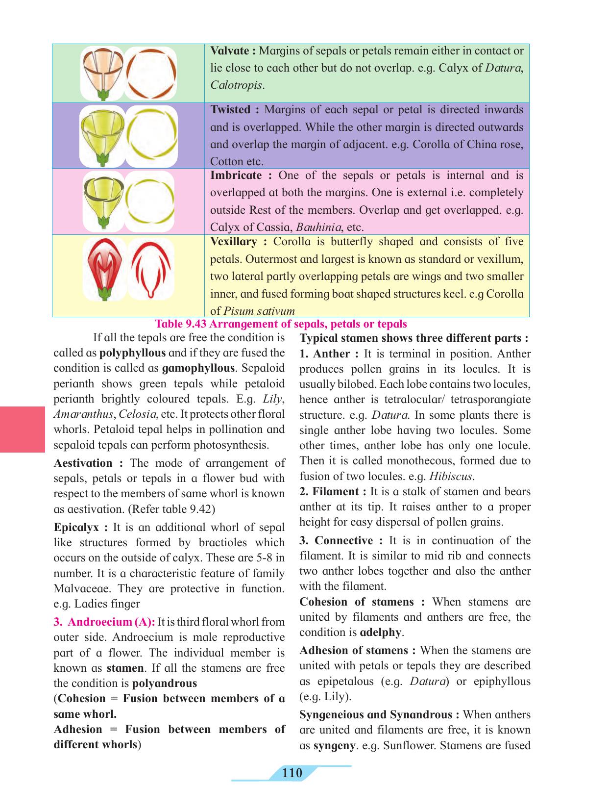 Maharashtra Board Class 11 Biology Textbook - Page 120