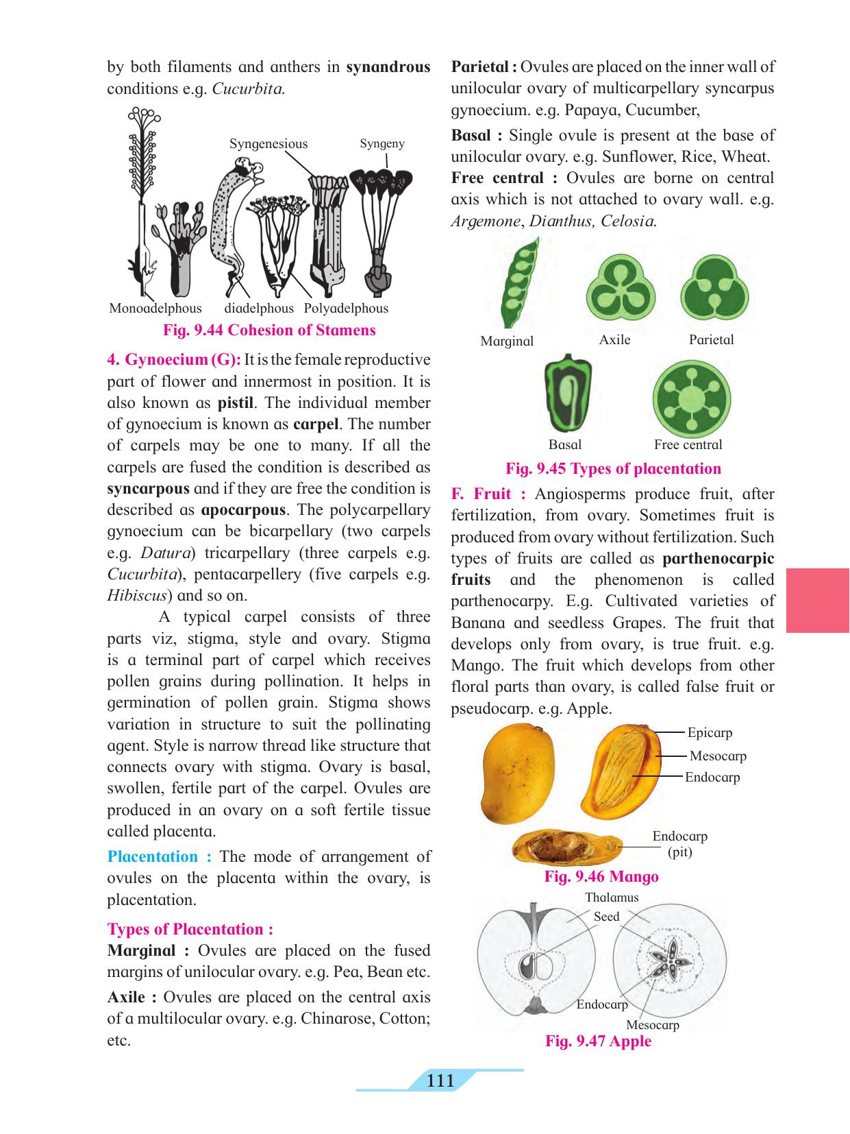 Maharashtra Board Class 11 Biology Textbook - Page 121