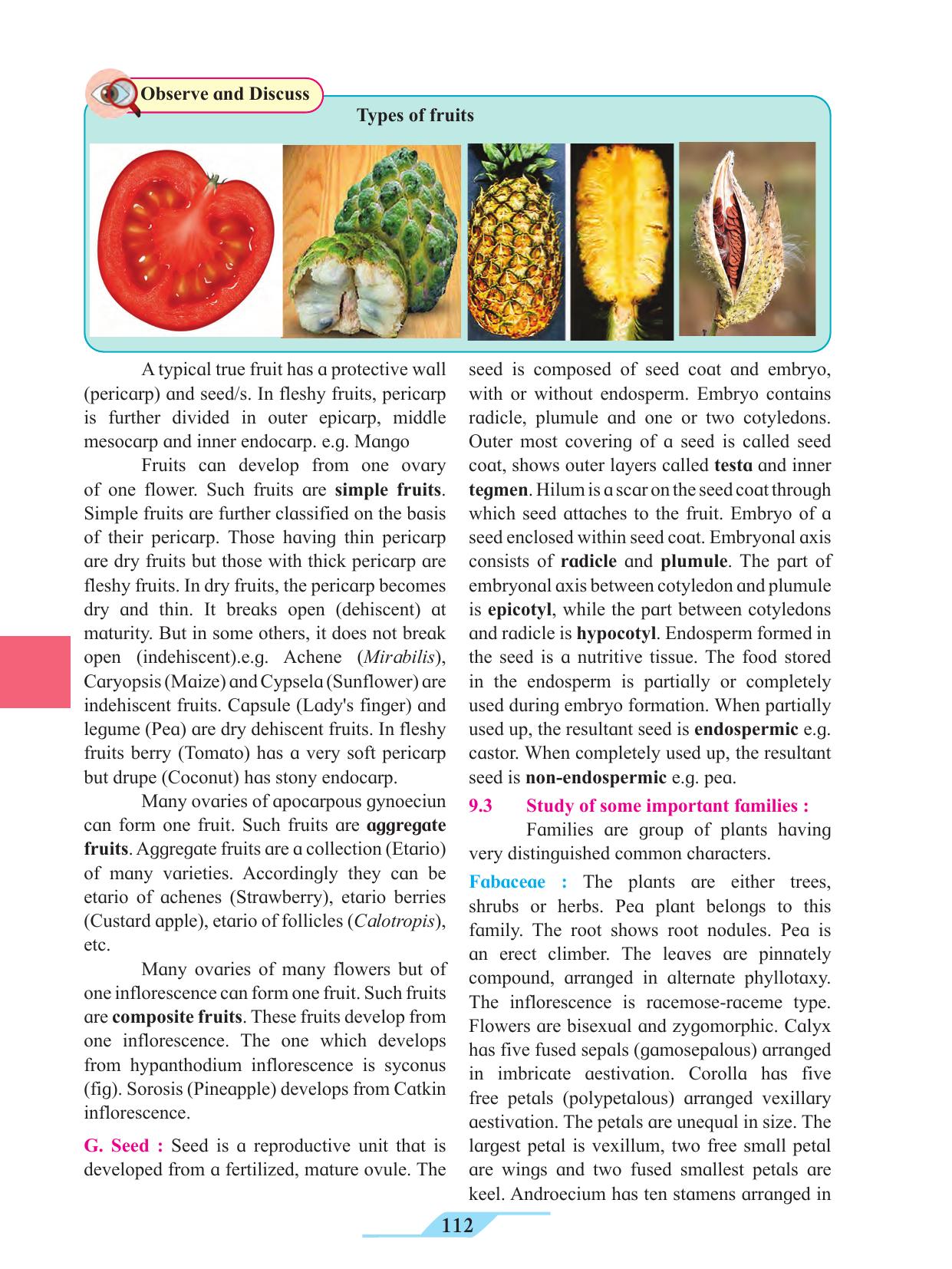 Maharashtra Board Class 11 Biology Textbook - Page 122