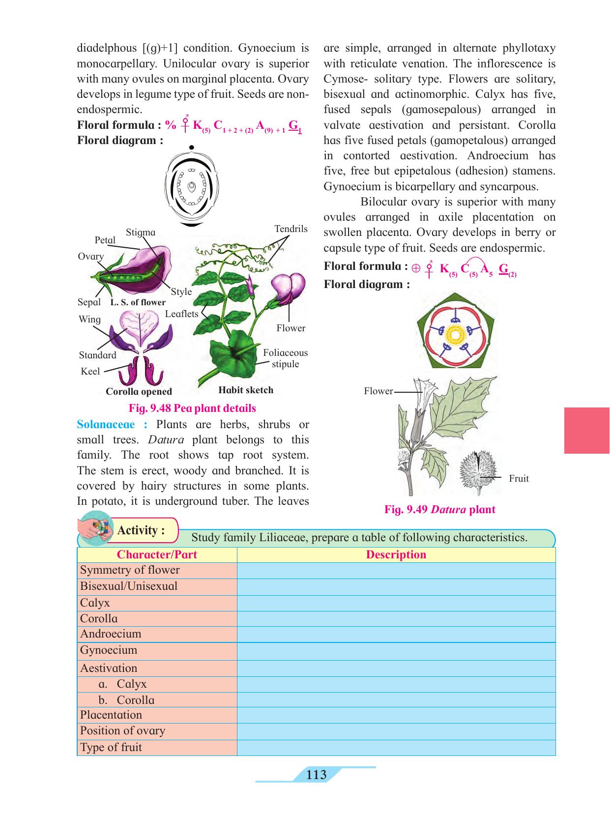 Maharashtra Board Class 11 Biology Textbook - Page 123