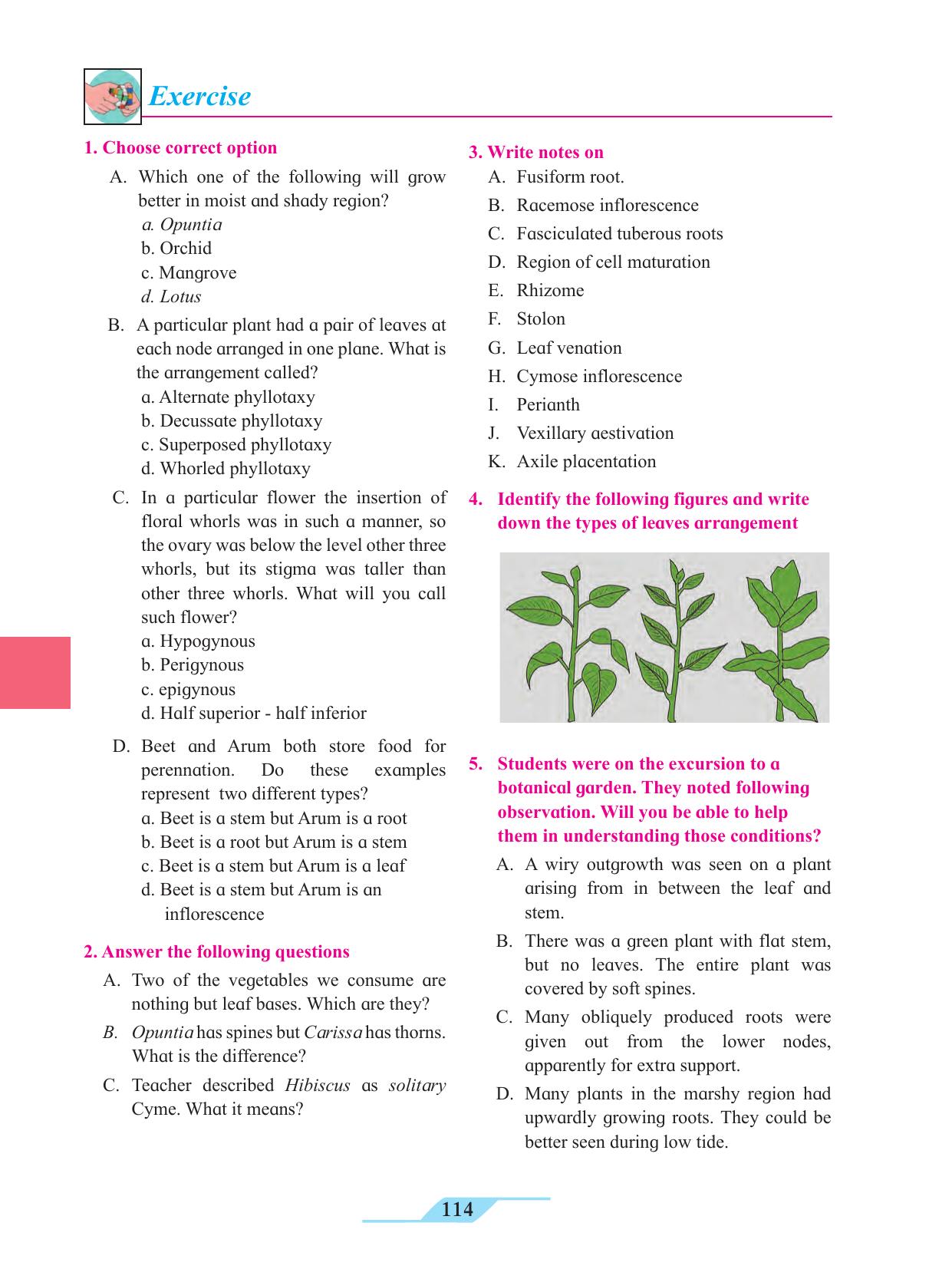 Maharashtra Board Class 11 Biology Textbook - Page 124