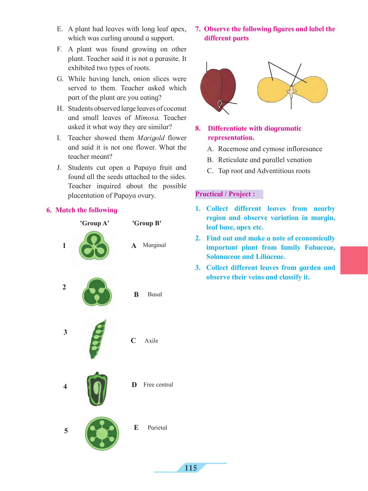Maharashtra Board Class 11 Biology Textbook - Page 125
