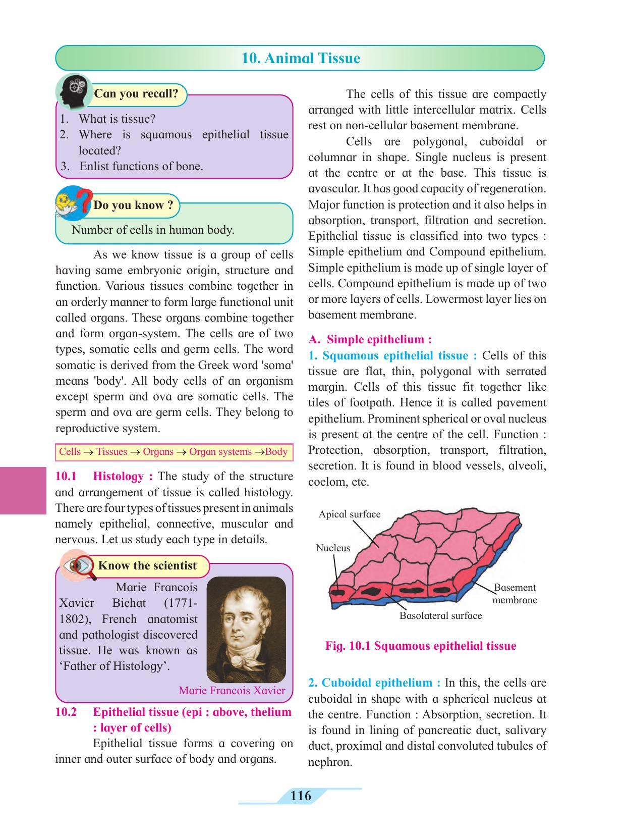 Maharashtra Board Class 11 Biology Textbook - Page 126