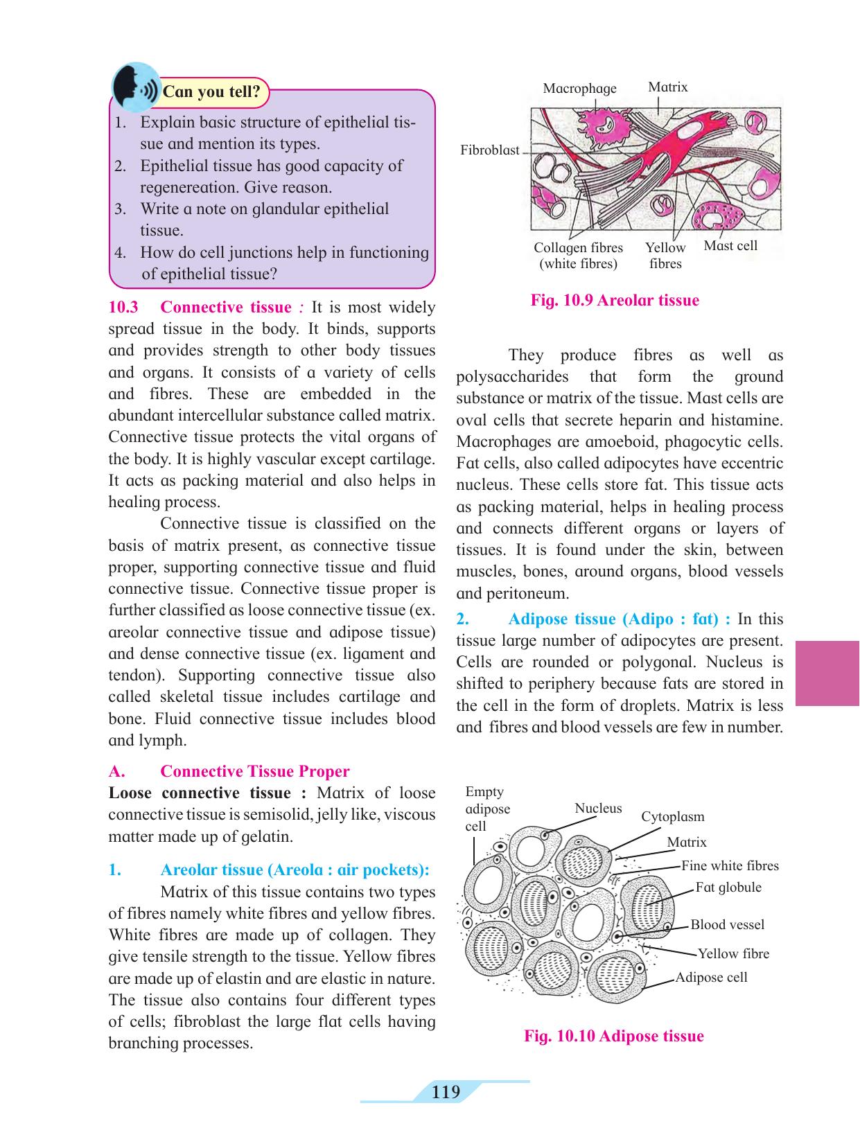 Maharashtra Board Class 11 Biology Textbook - Page 129