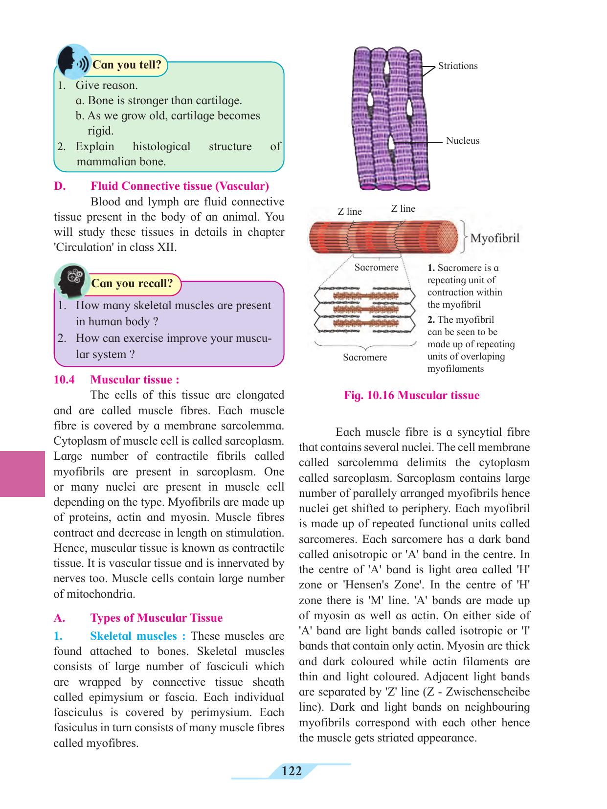 Maharashtra Board Class 11 Biology Textbook - Page 132