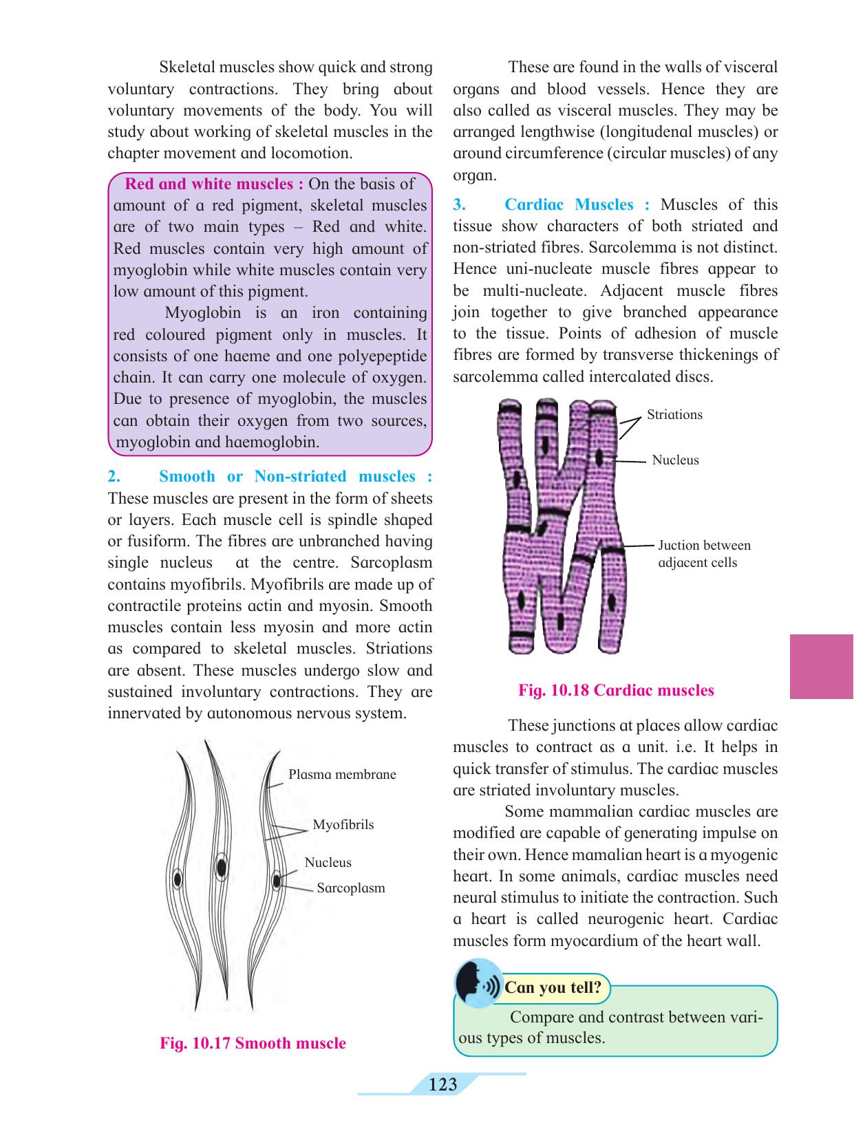 Maharashtra Board Class 11 Biology Textbook - Page 133