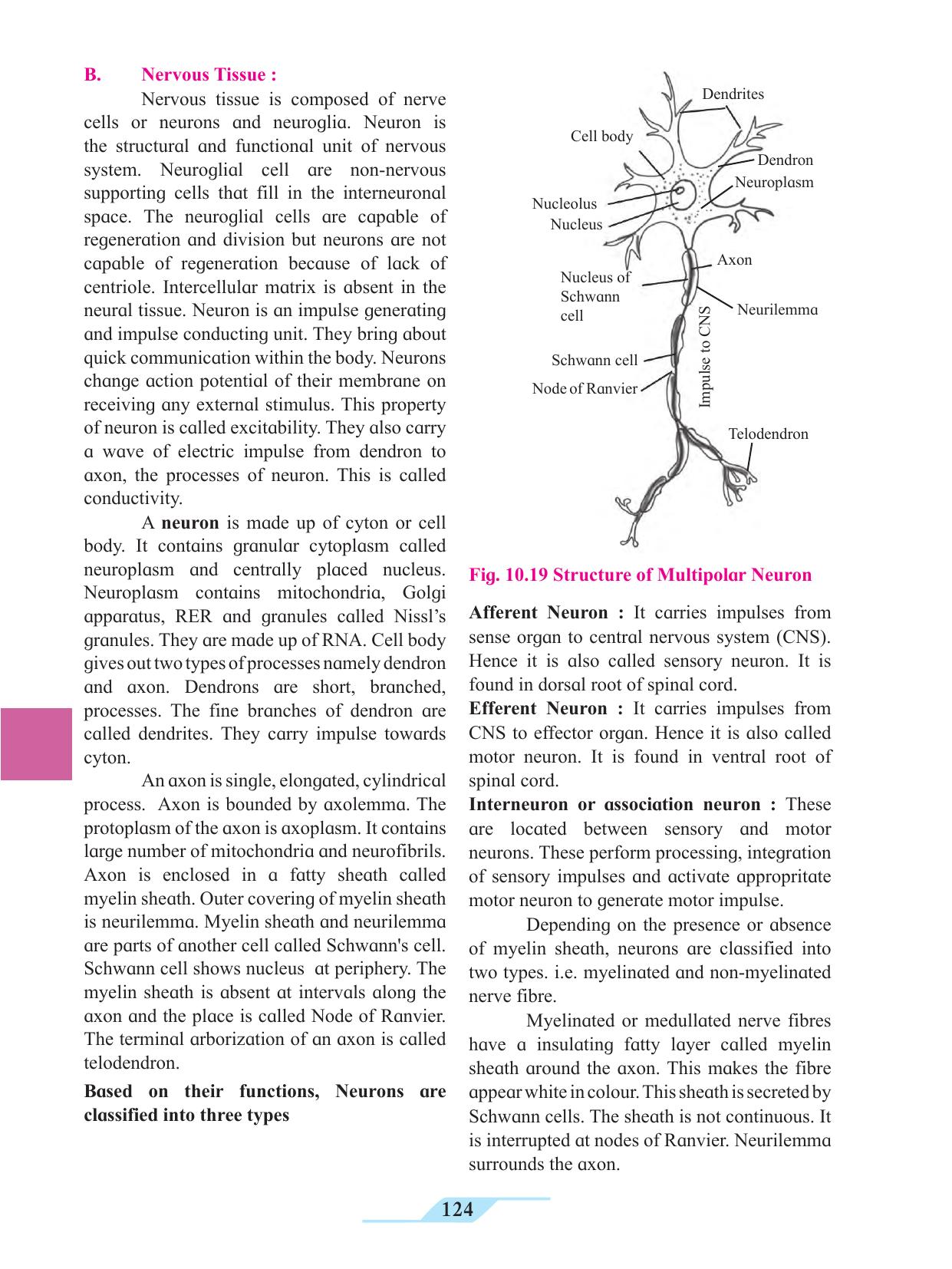 Maharashtra Board Class 11 Biology Textbook - Page 134