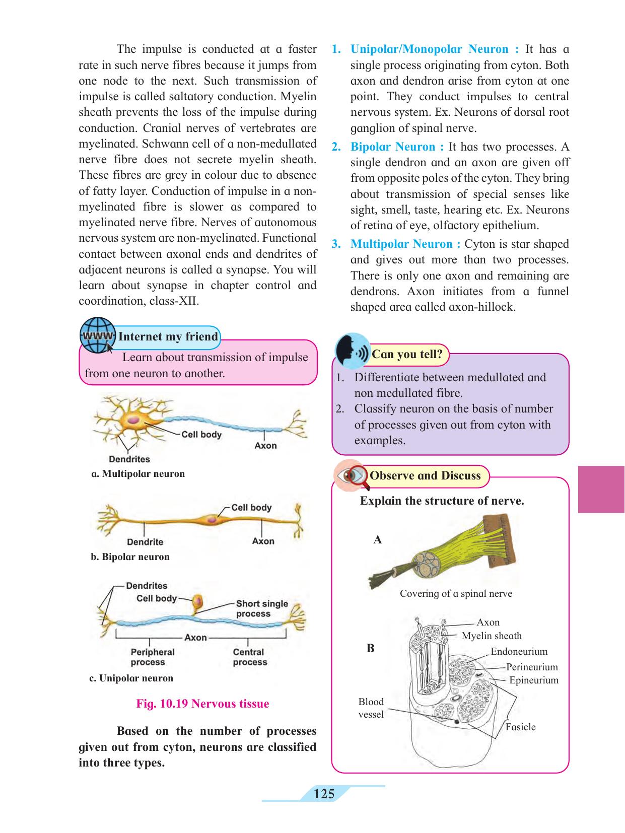 Maharashtra Board Class 11 Biology Textbook - Page 135