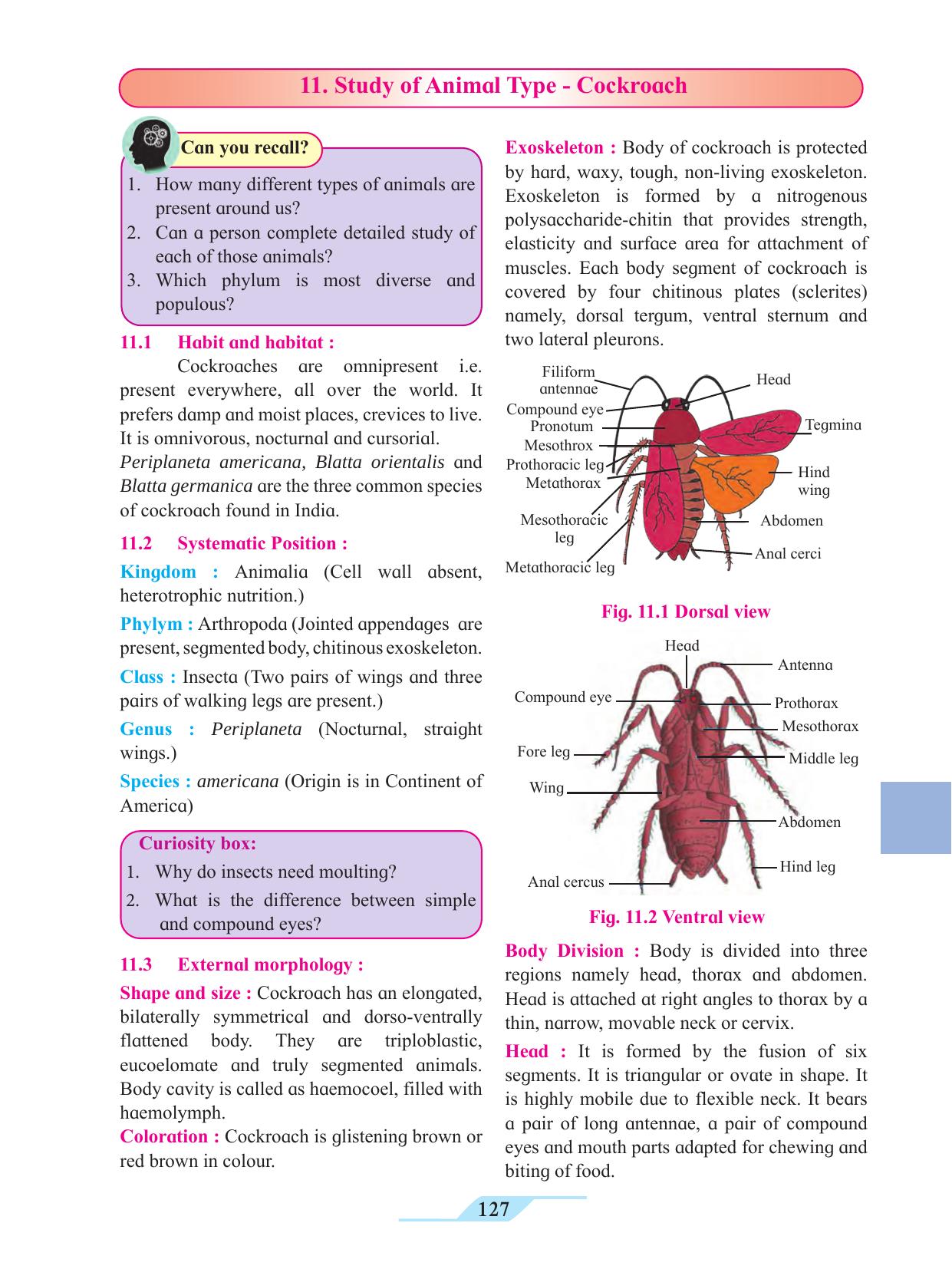 Maharashtra Board Class 11 Biology Textbook - Page 137