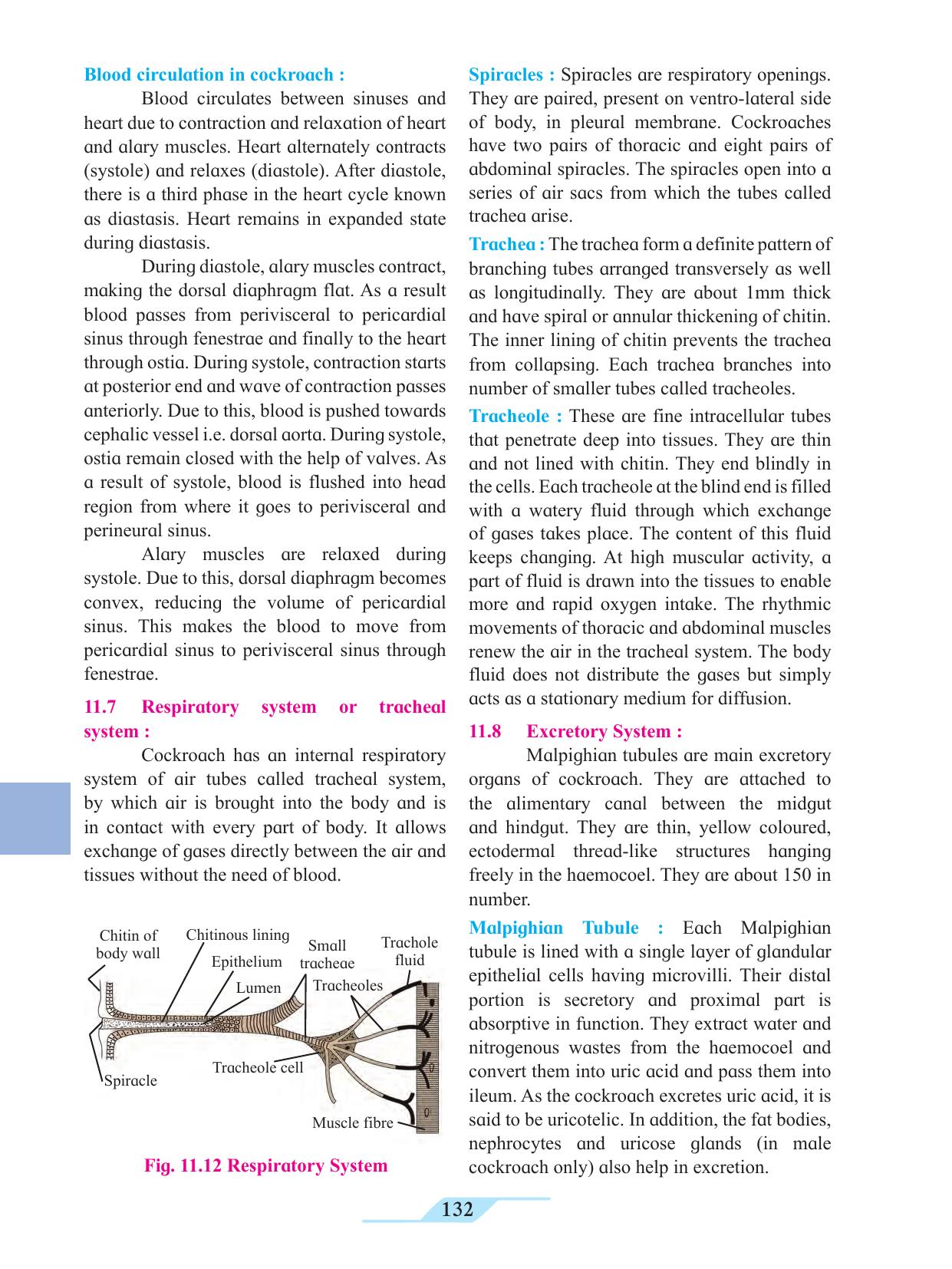 Maharashtra Board Class 11 Biology Textbook - Page 142
