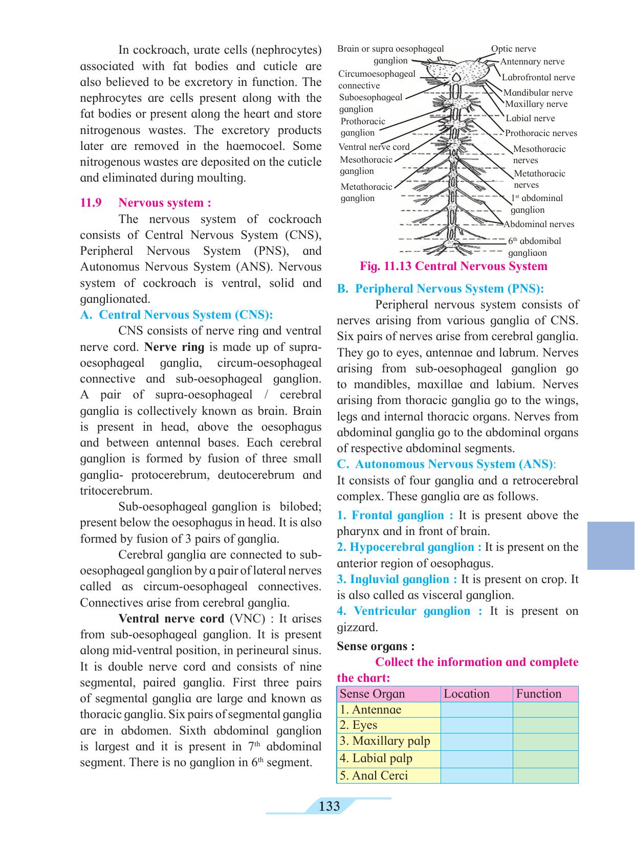 Maharashtra Board Class 11 Biology Textbook - Page 143