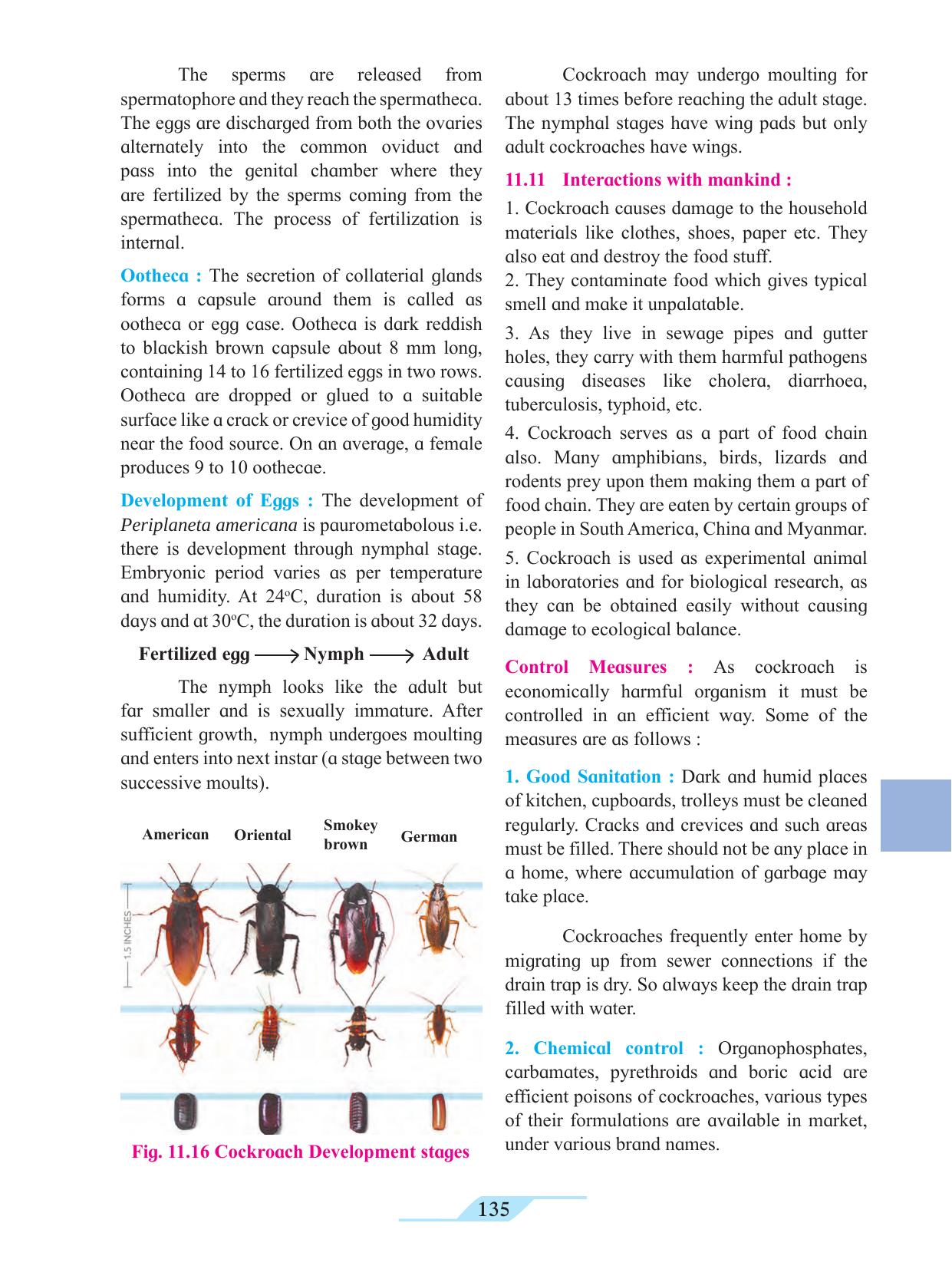 Maharashtra Board Class 11 Biology Textbook - Page 145