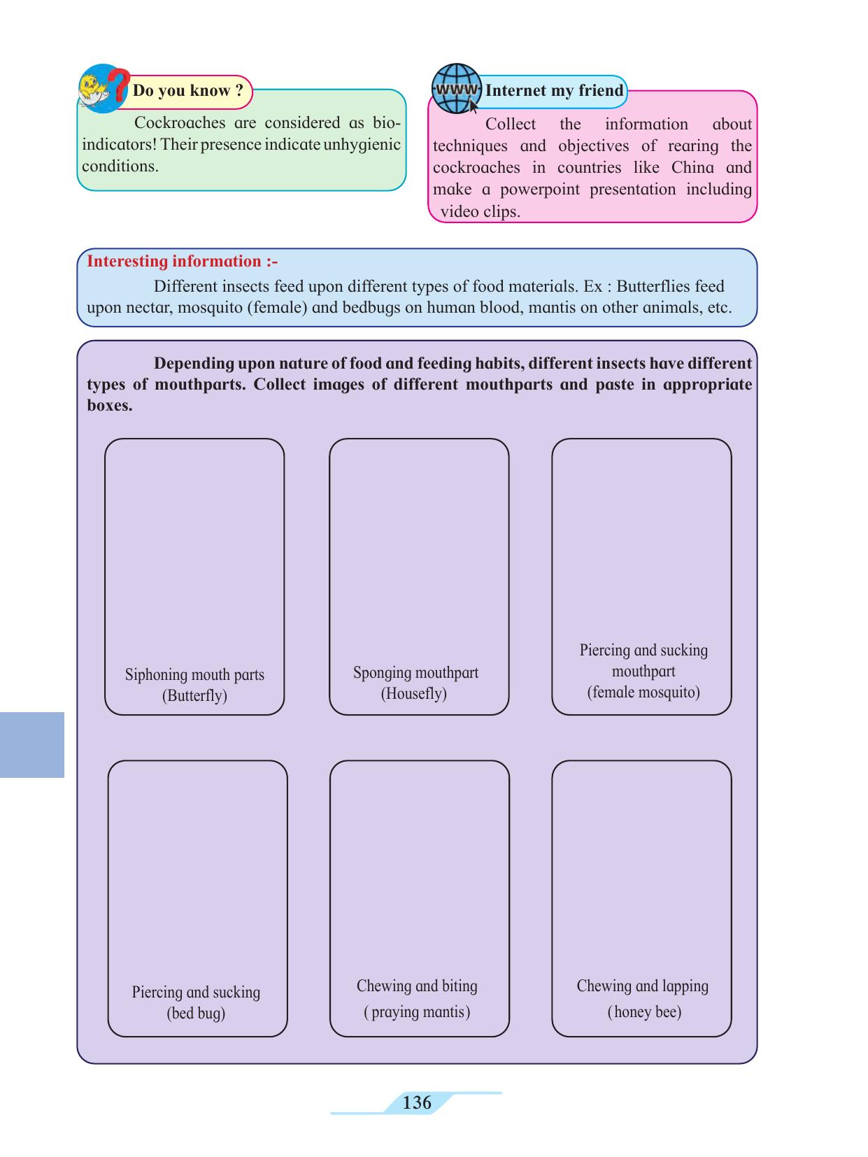Maharashtra Board Class 11 Biology Textbook - Page 146