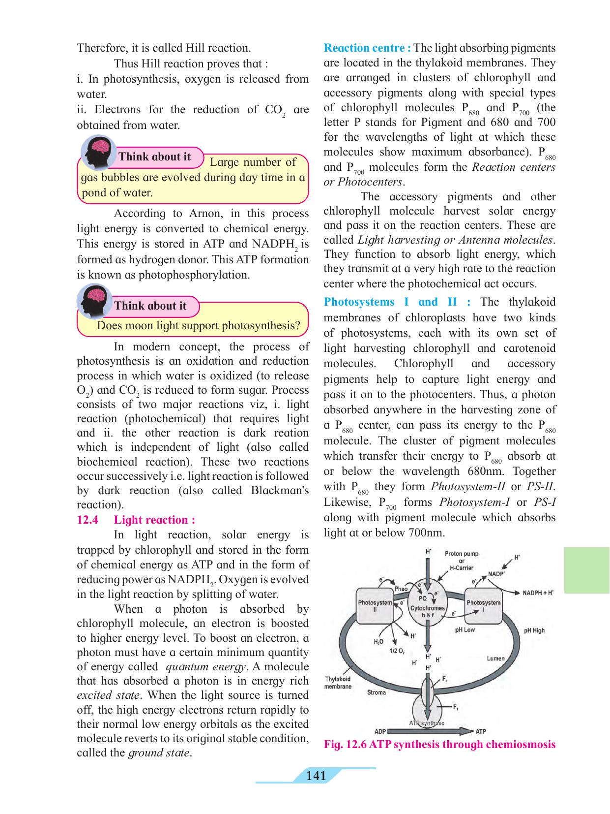 Maharashtra Board Class 11 Biology Textbook - Page 151