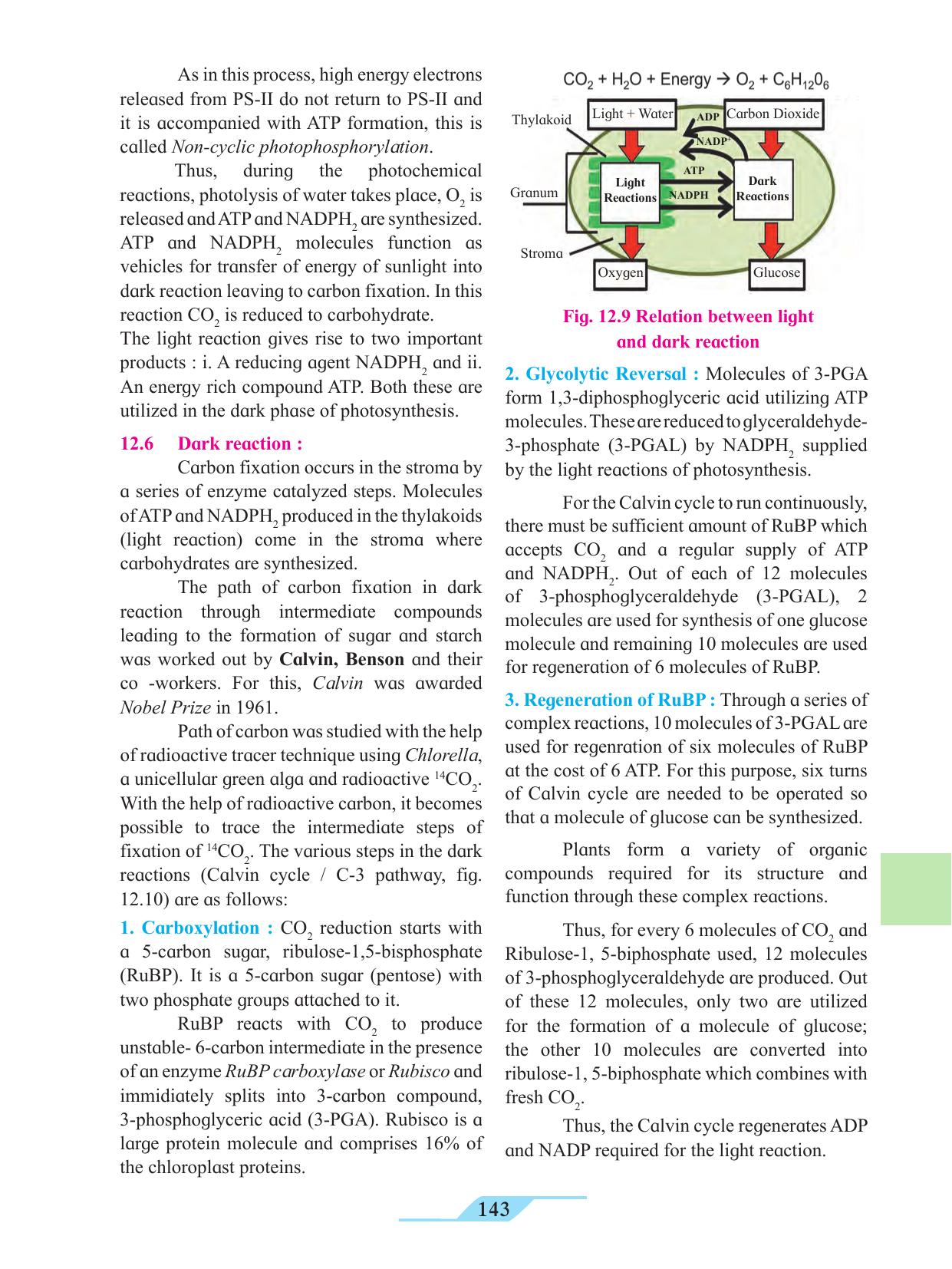 Maharashtra Board Class 11 Biology Textbook - Page 153