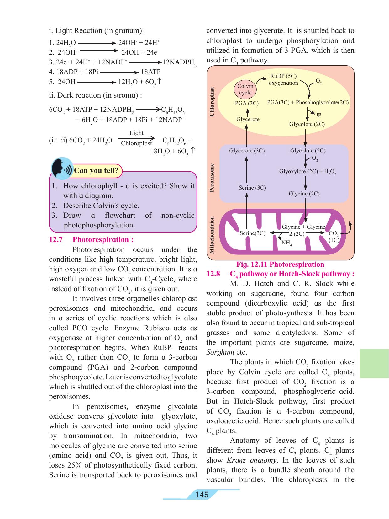 Maharashtra Board Class 11 Biology Textbook - Page 155