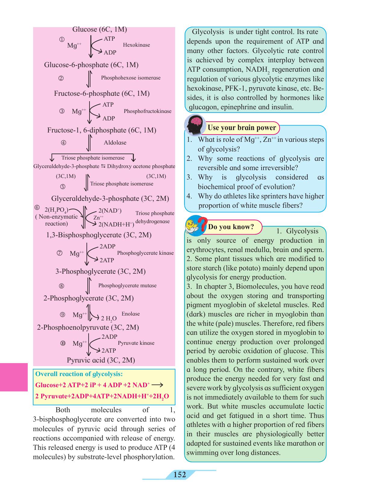 Maharashtra Board Class 11 Biology Textbook - Page 162