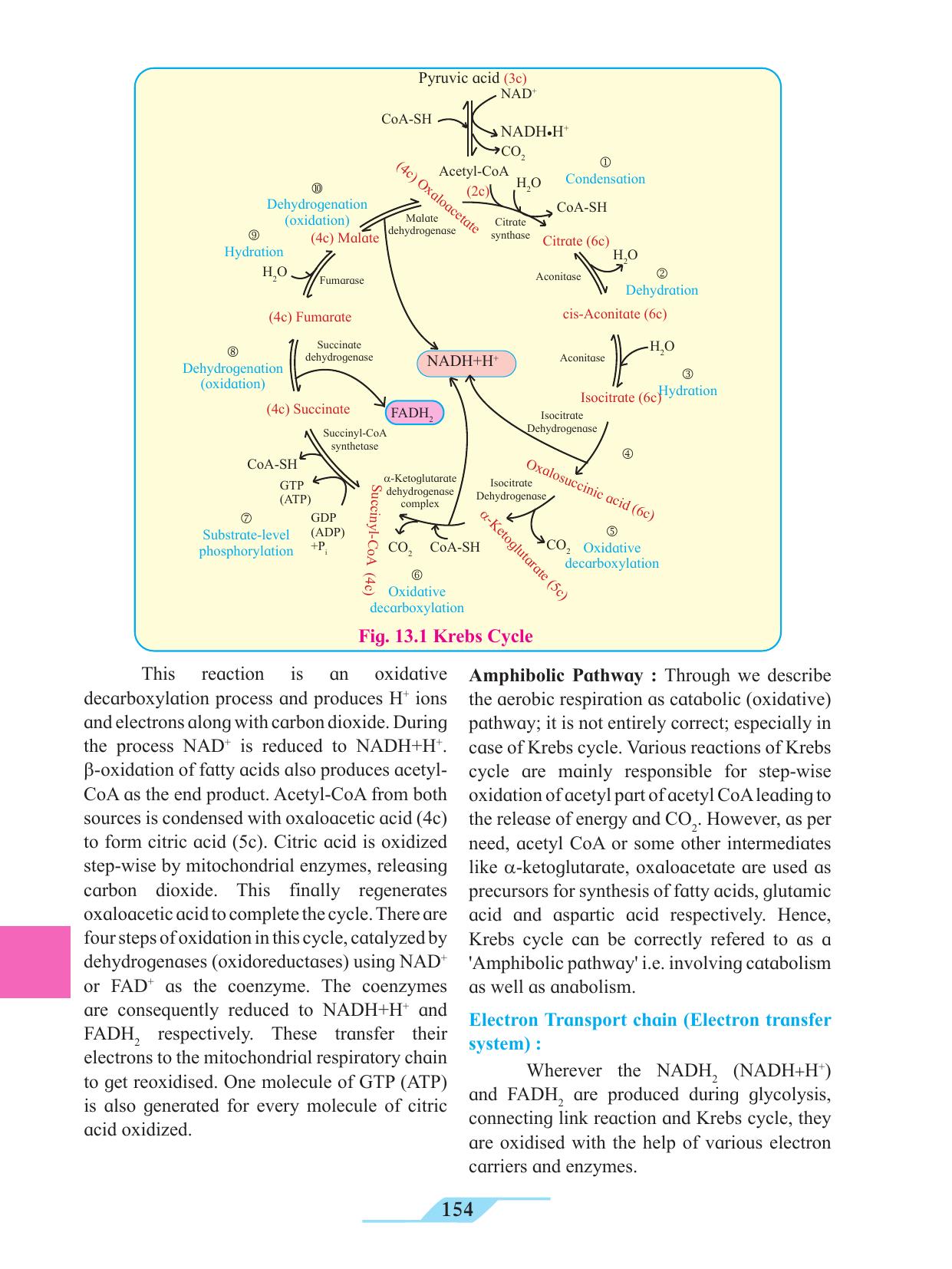 Maharashtra Board Class 11 Biology Textbook - Page 164