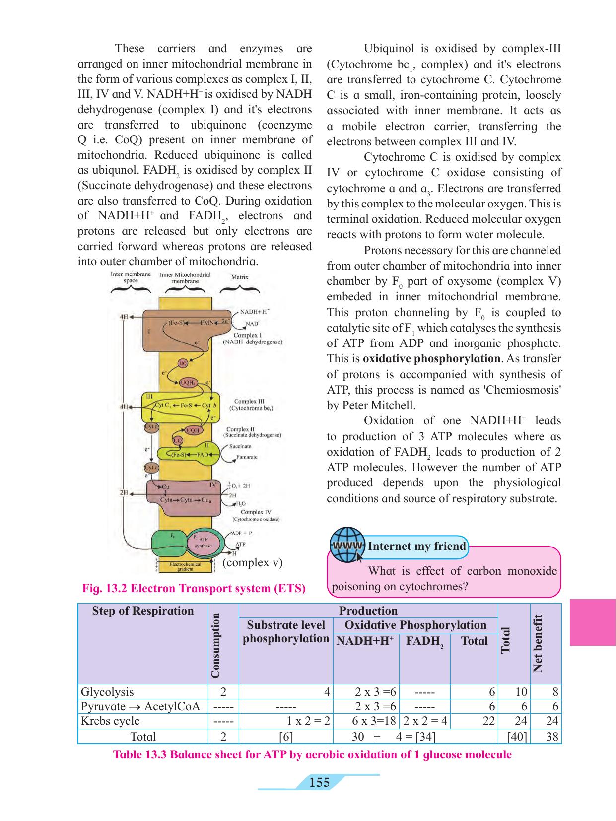 Maharashtra Board Class 11 Biology Textbook - Page 165