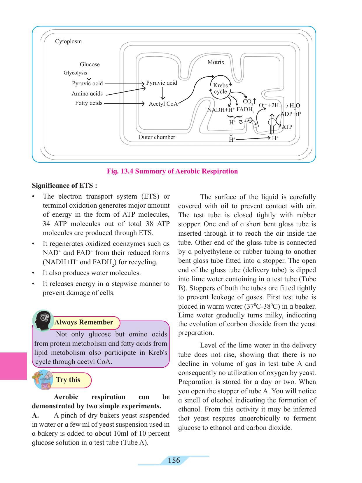 Maharashtra Board Class 11 Biology Textbook - Page 166