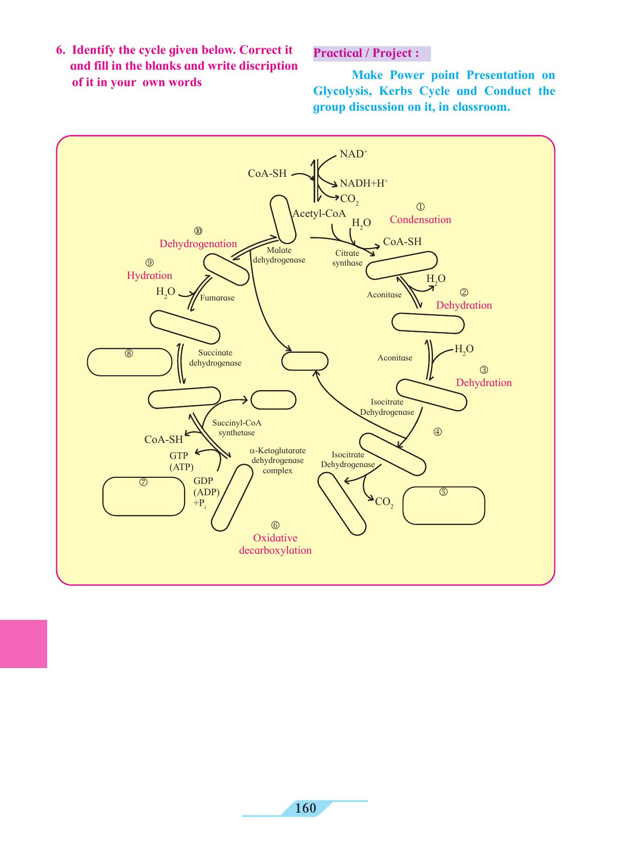 Maharashtra Board Class 11 Biology Textbook - Page 170