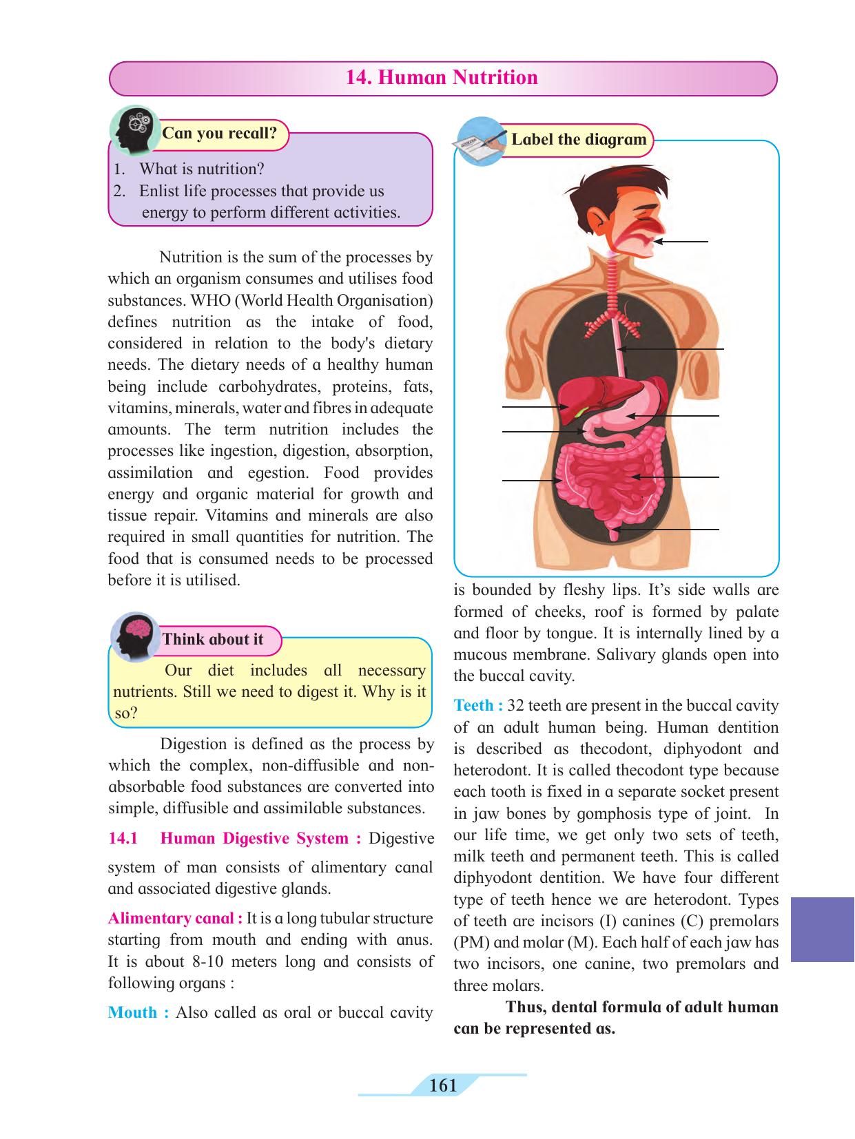 Maharashtra Board Class 11 Biology Textbook - Page 171