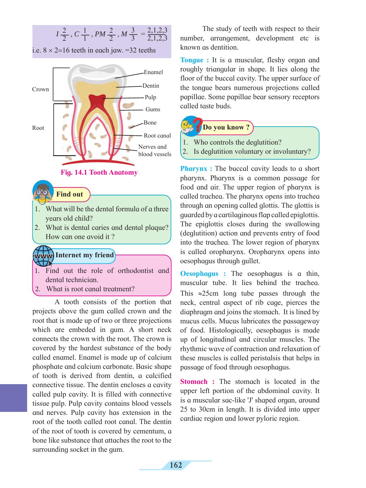 Maharashtra Board Class 11 Biology Textbook - Page 172