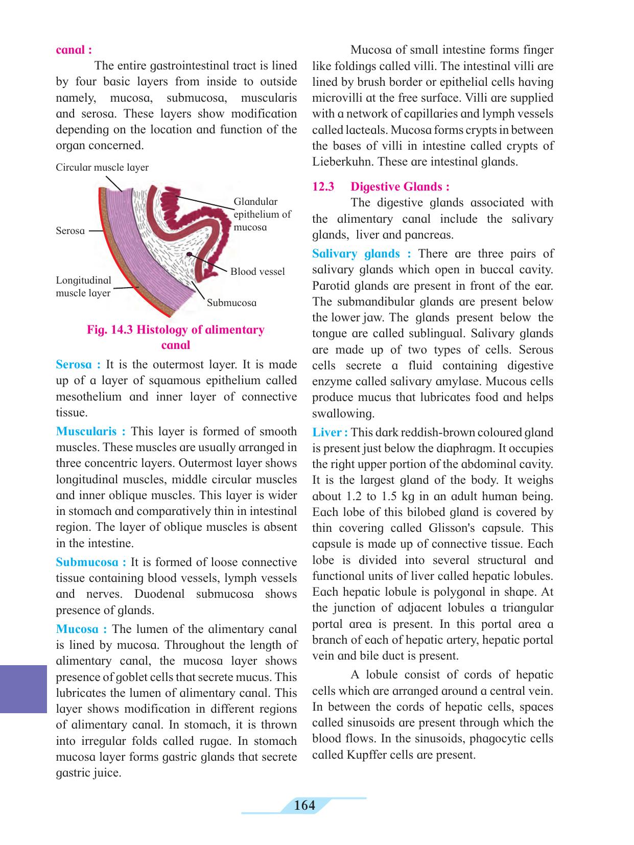 Maharashtra Board Class 11 Biology Textbook - Page 174