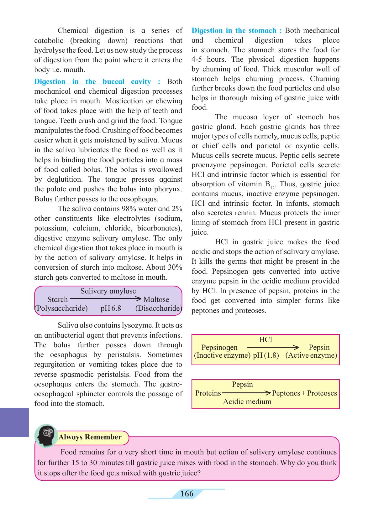 Maharashtra Board Class 11 Biology Textbook - Page 176