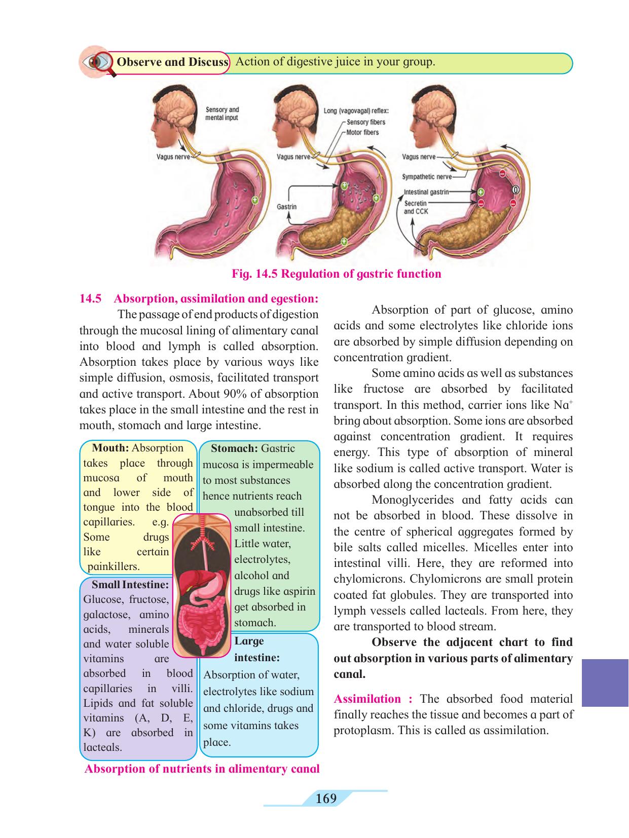 Maharashtra Board Class 11 Biology Textbook - Page 179