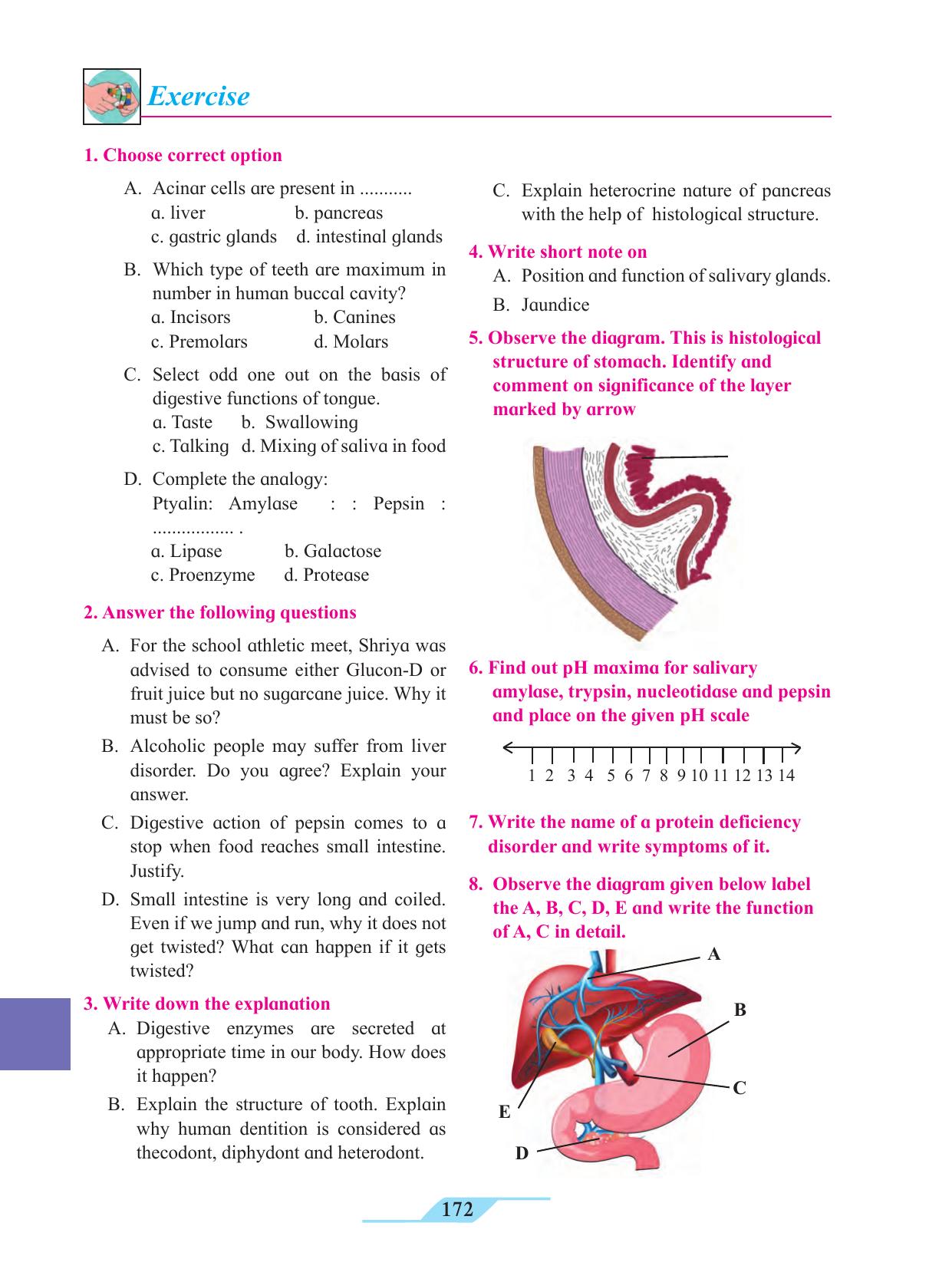 Maharashtra Board Class 11 Biology Textbook - Page 182