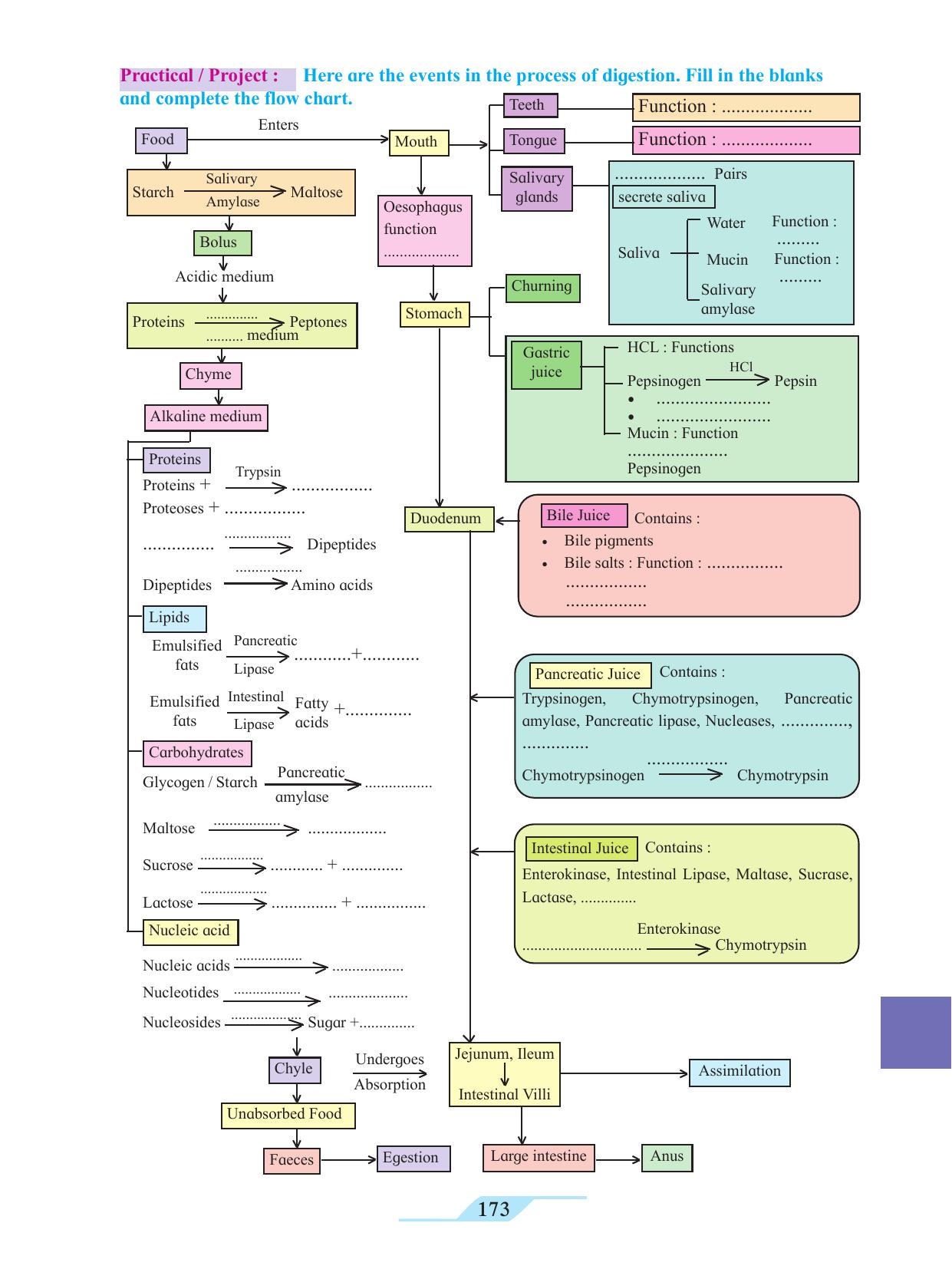 Maharashtra Board Class 11 Biology Textbook - Page 183