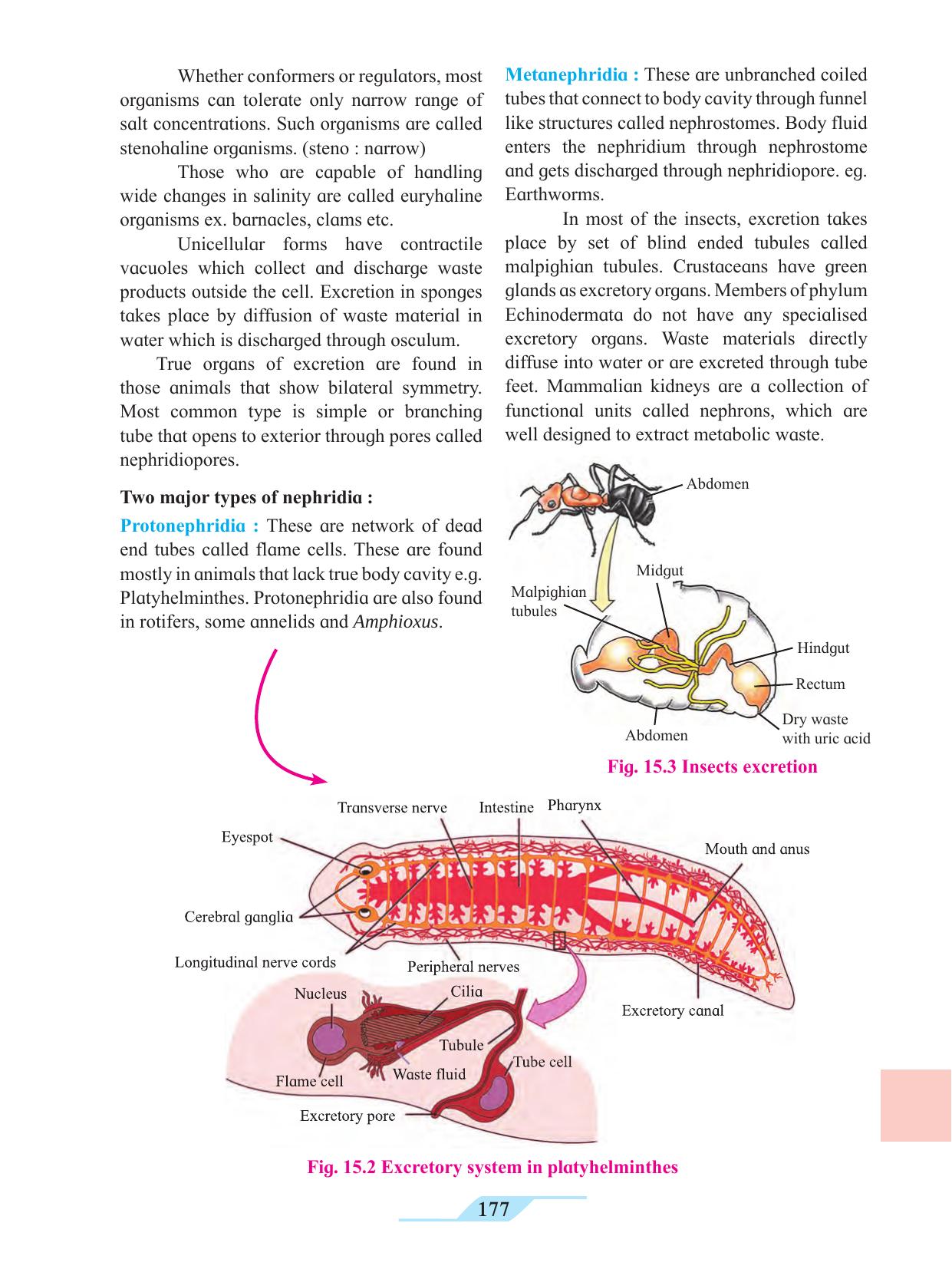 Maharashtra Board Class 11 Biology Textbook - Page 187