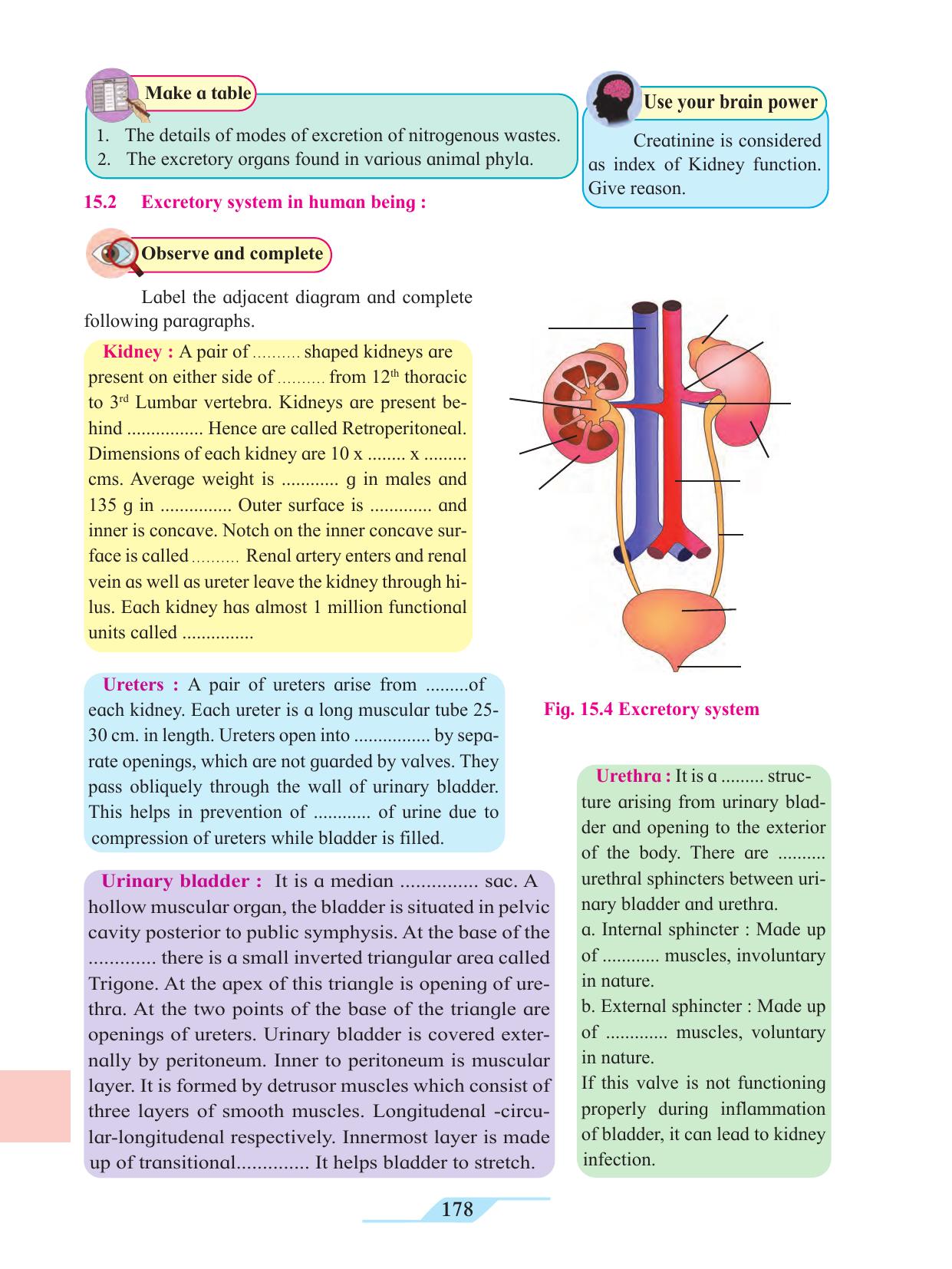 Maharashtra Board Class 11 Biology Textbook - Page 188