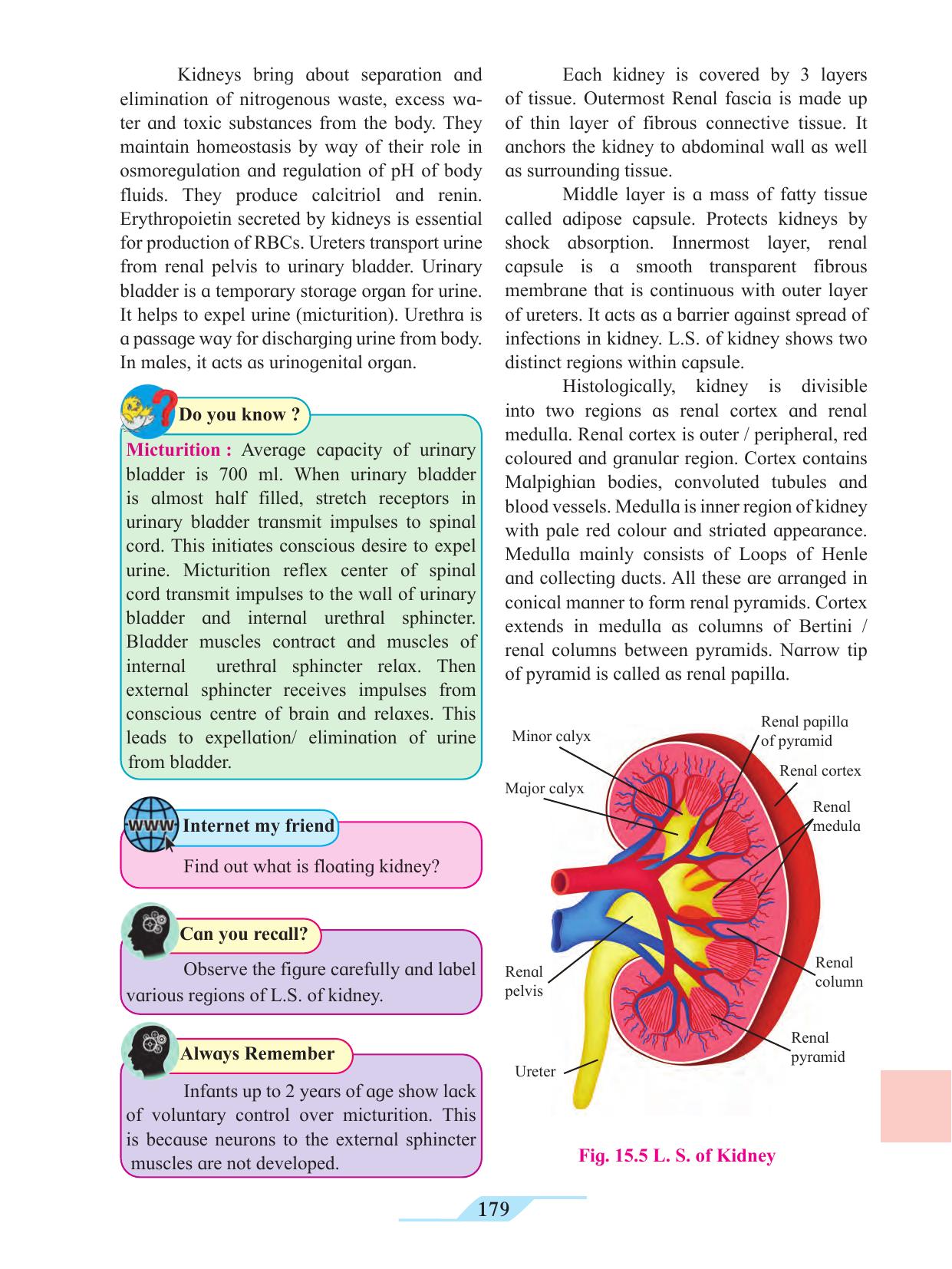 Maharashtra Board Class 11 Biology Textbook - Page 189