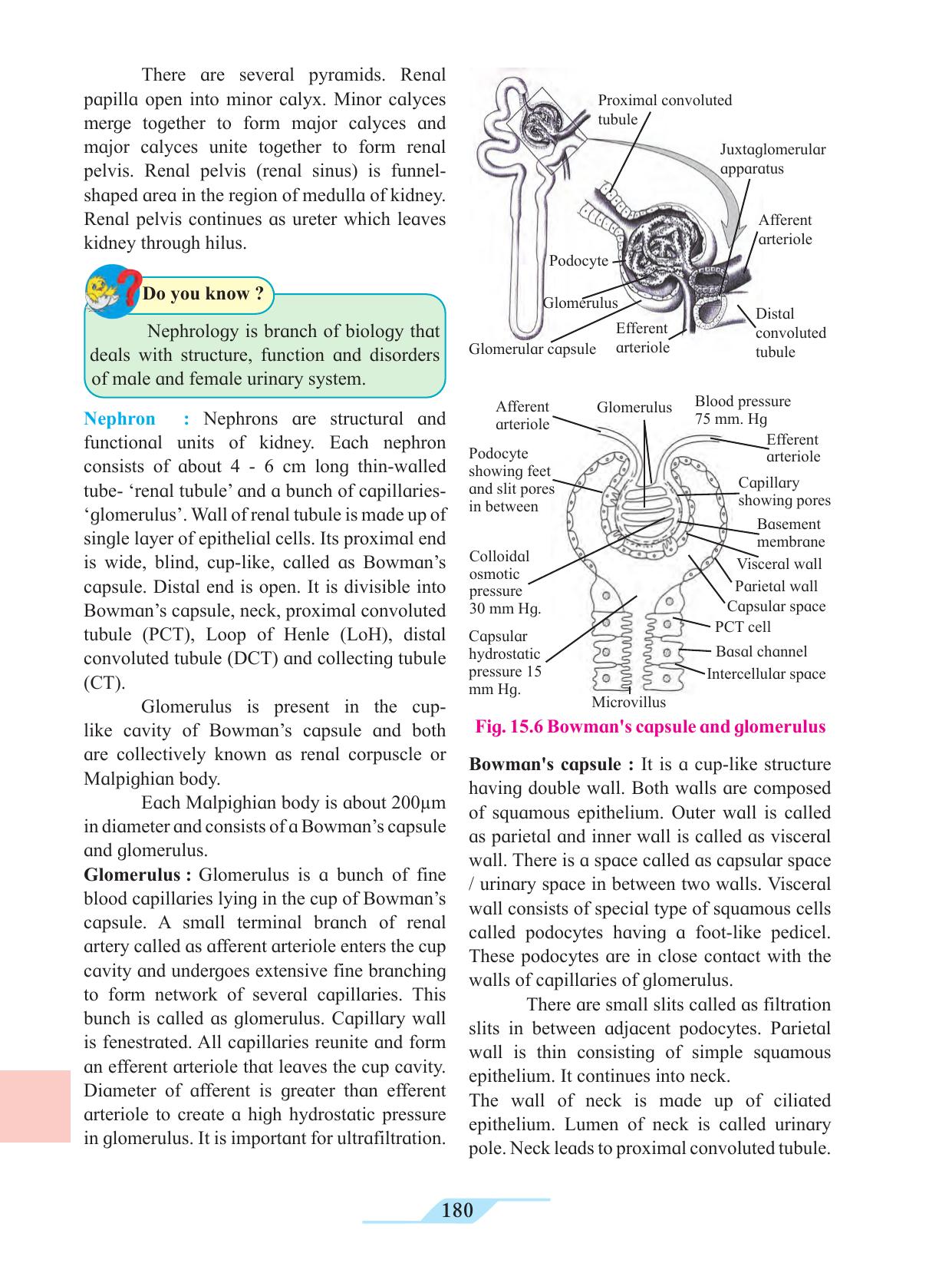 Maharashtra Board Class 11 Biology Textbook - Page 190