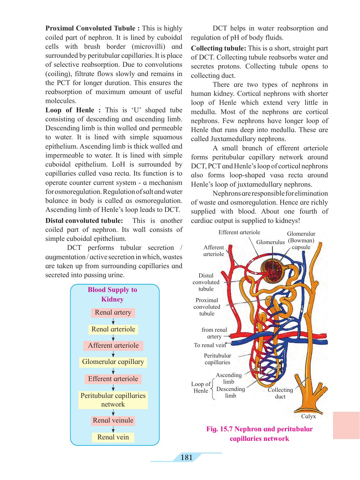 Maharashtra Board Class 11 Biology Textbook - Page 191