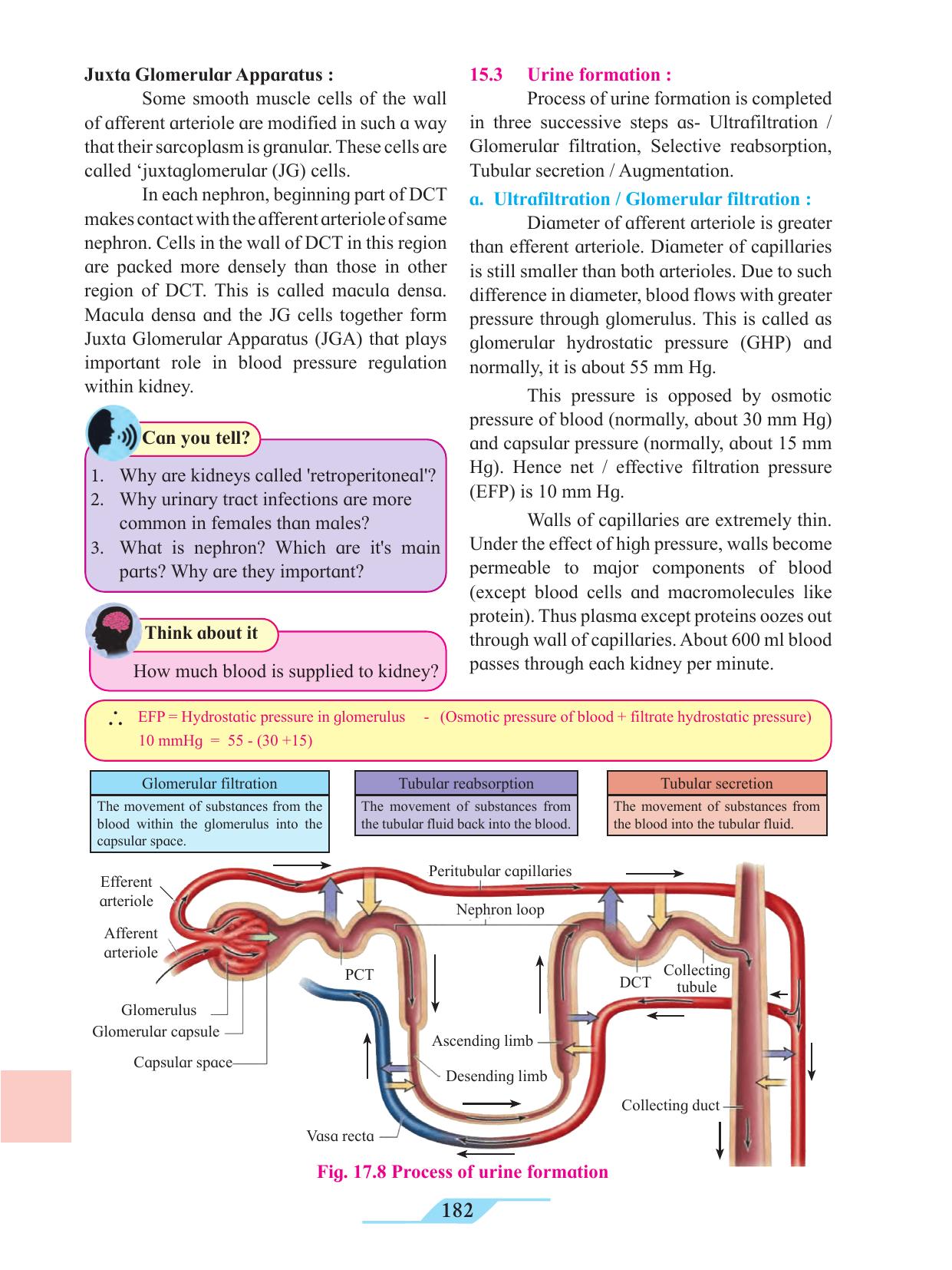 Maharashtra Board Class 11 Biology Textbook - Page 192