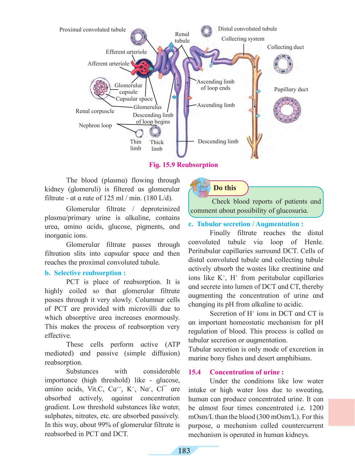 Maharashtra Board Class 11 Biology Textbook - Page 193