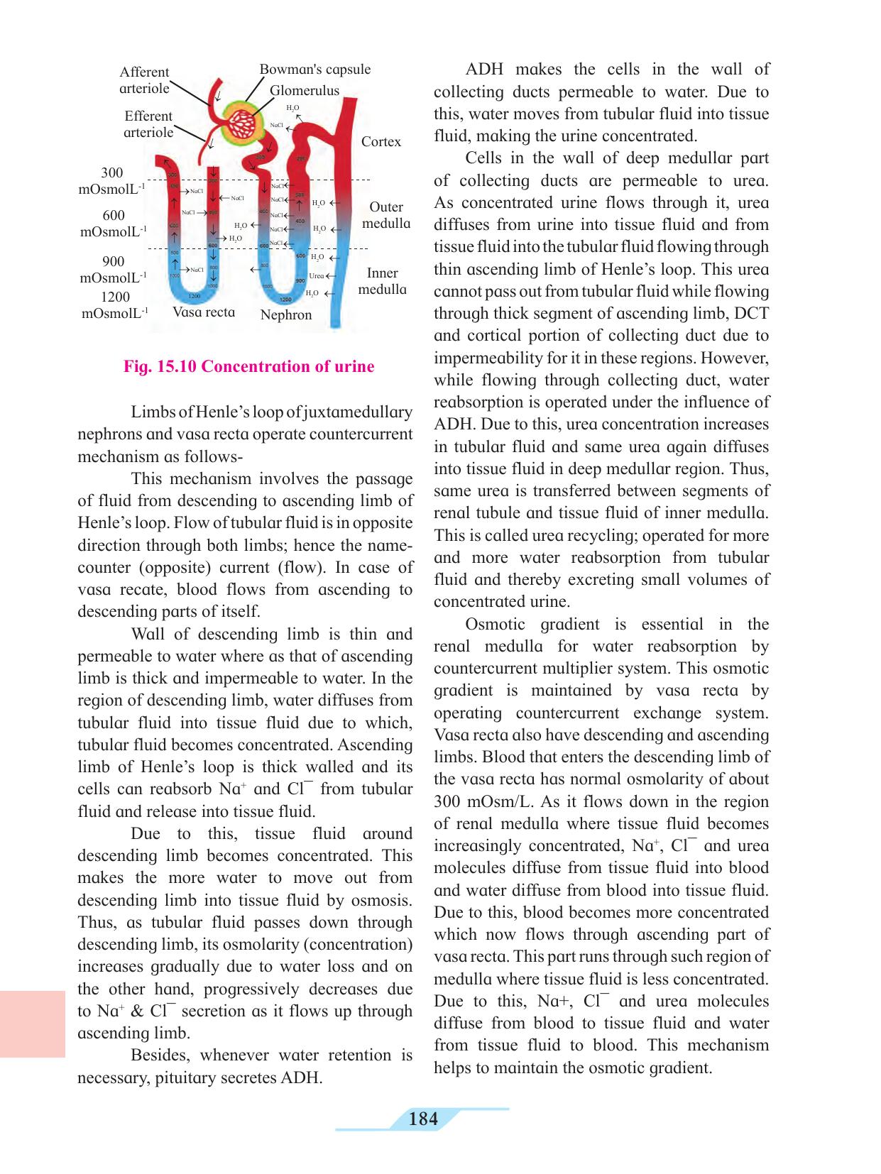 Maharashtra Board Class 11 Biology Textbook - Page 194
