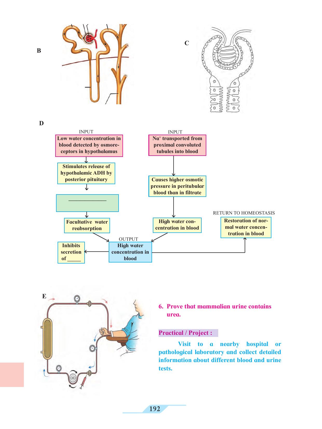 Maharashtra Board Class 11 Biology Textbook - Page 202