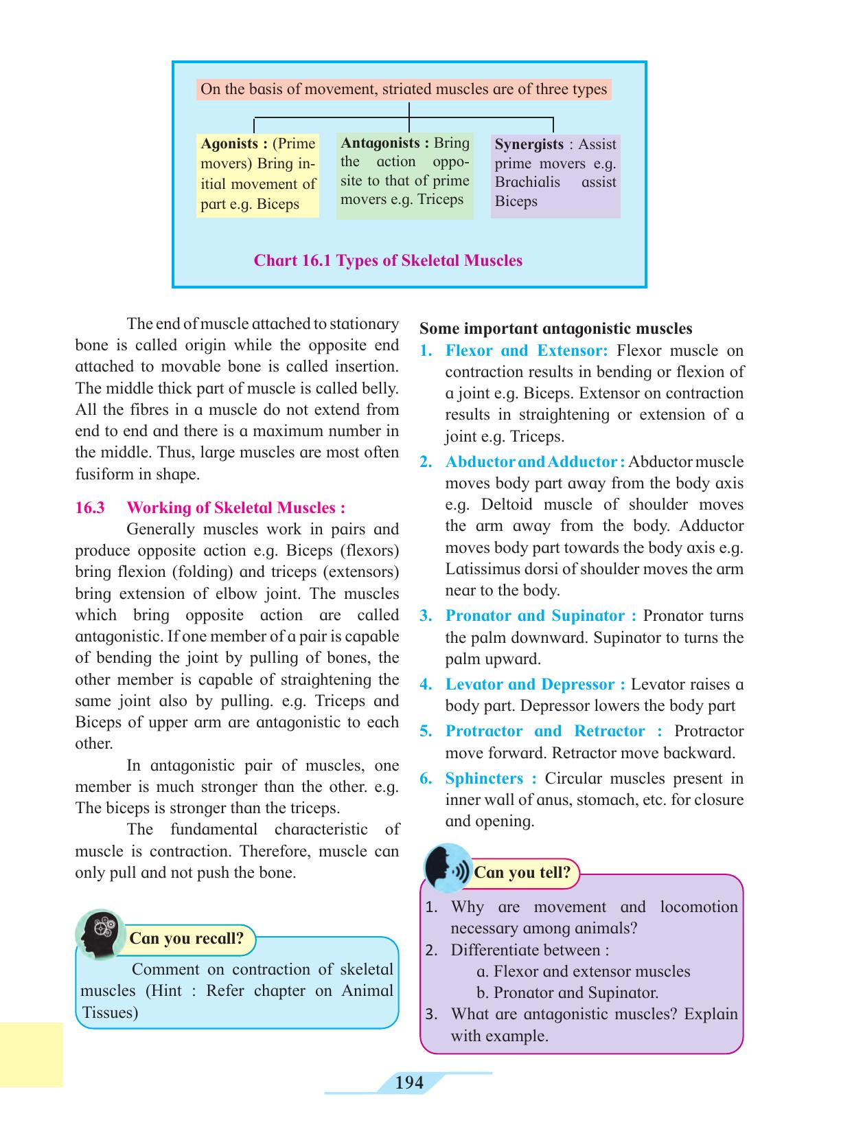 Maharashtra Board Class 11 Biology Textbook - Page 204