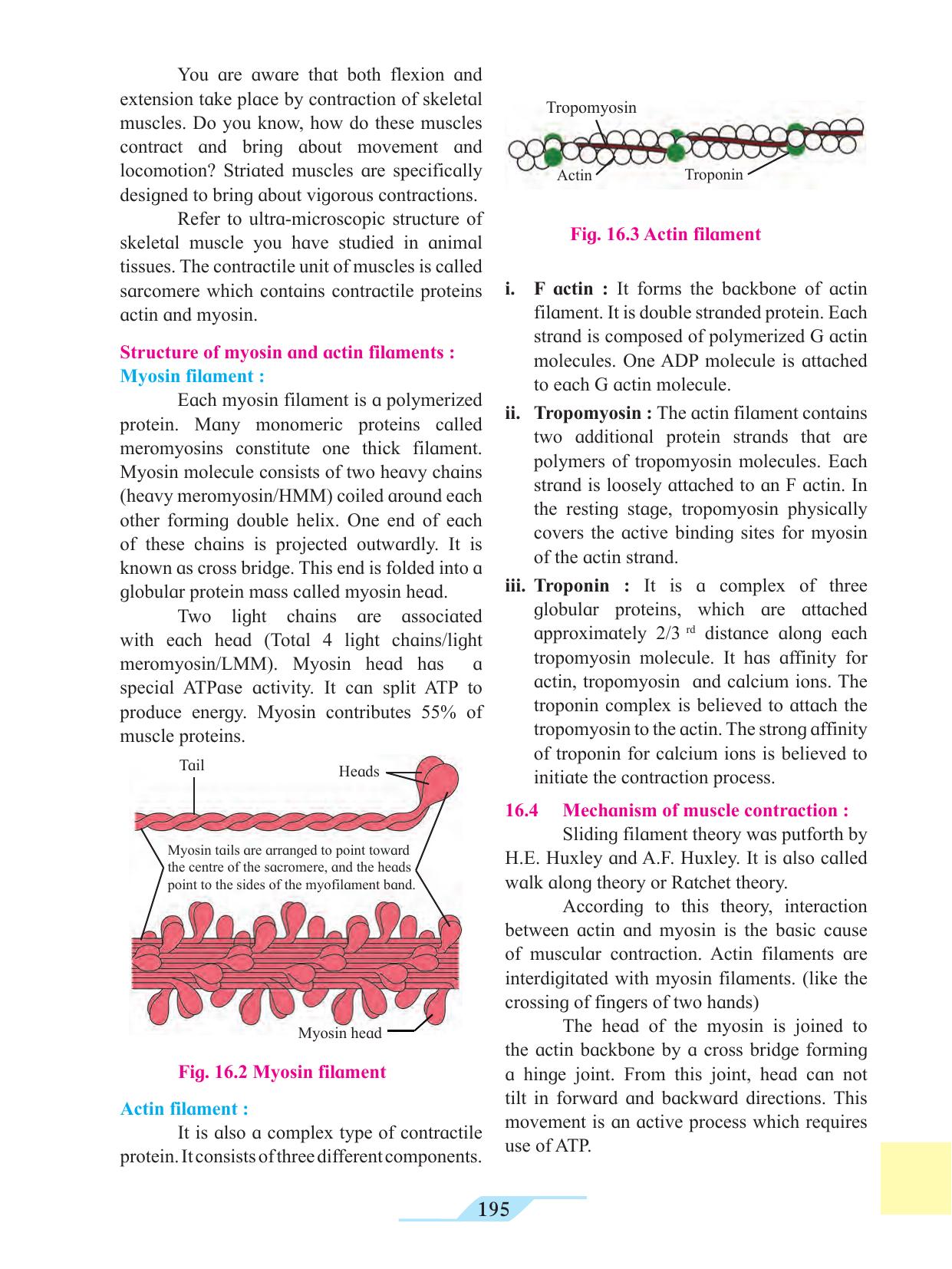 Maharashtra Board Class 11 Biology Textbook - Page 205