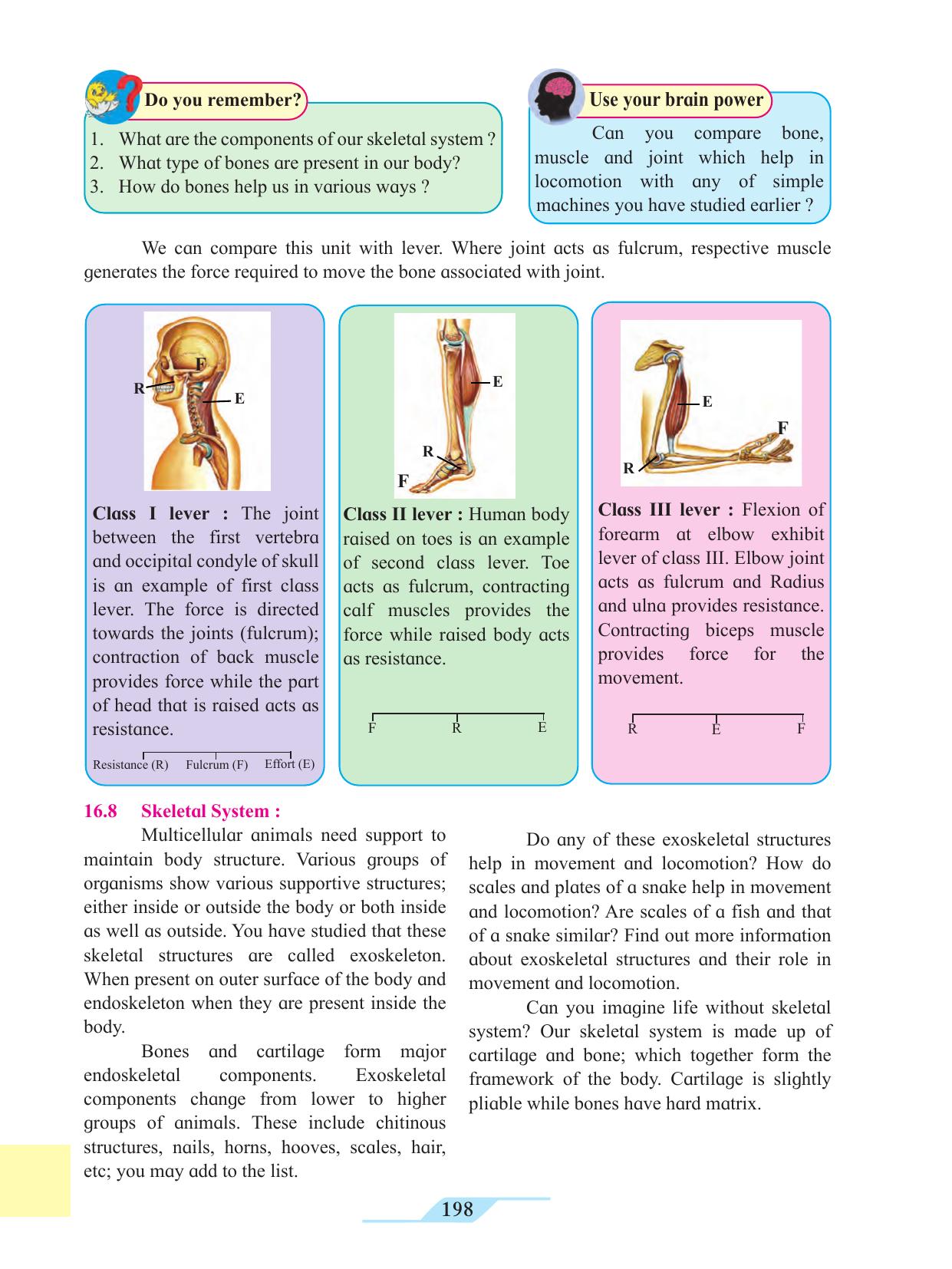 Maharashtra Board Class 11 Biology Textbook - Page 208