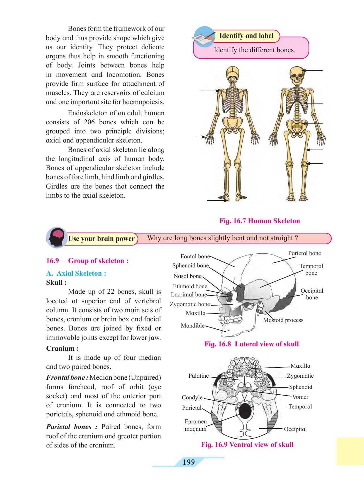 Maharashtra Board Class 11 Biology Textbook - Page 209