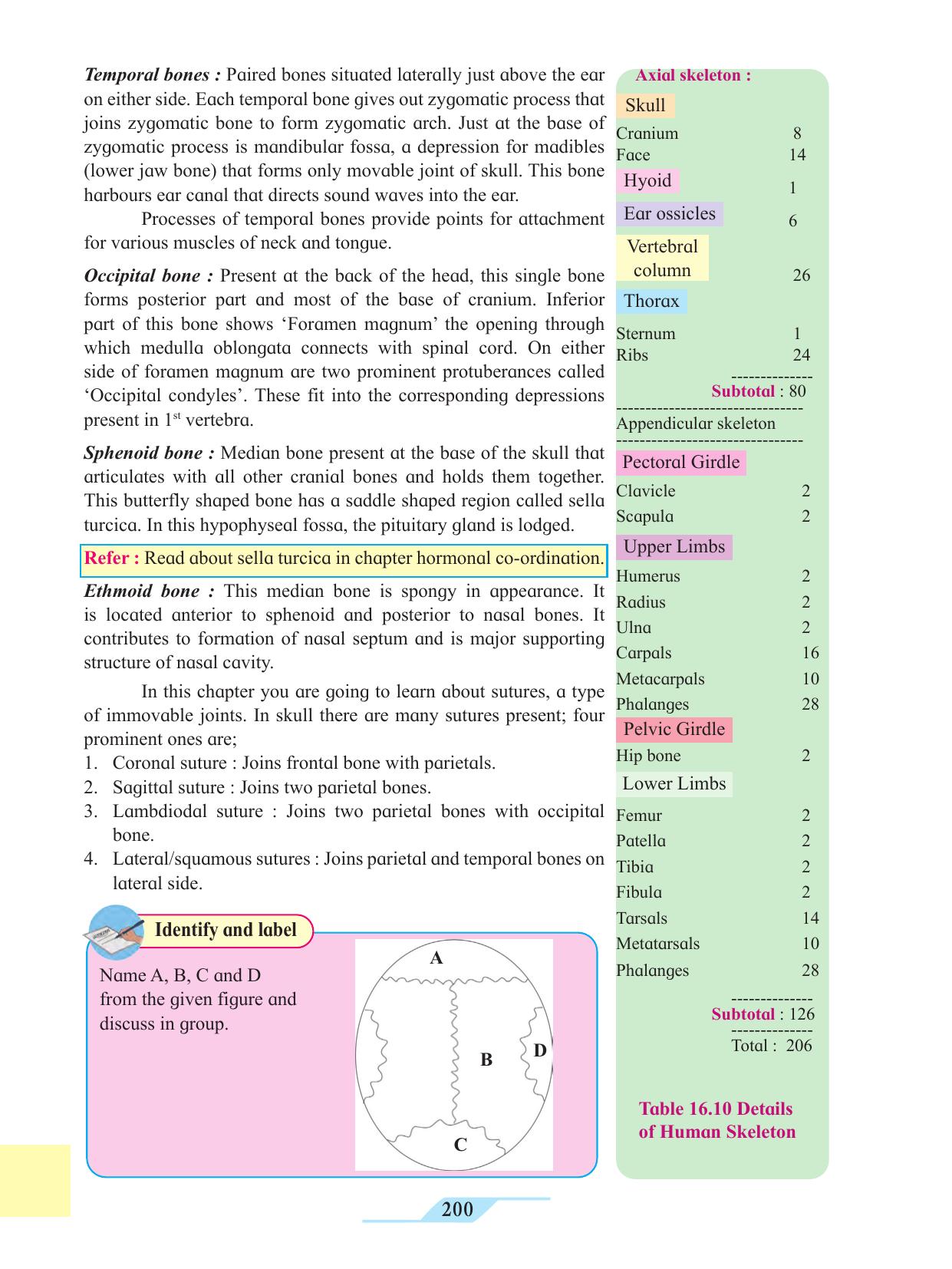 Maharashtra Board Class 11 Biology Textbook - Page 210